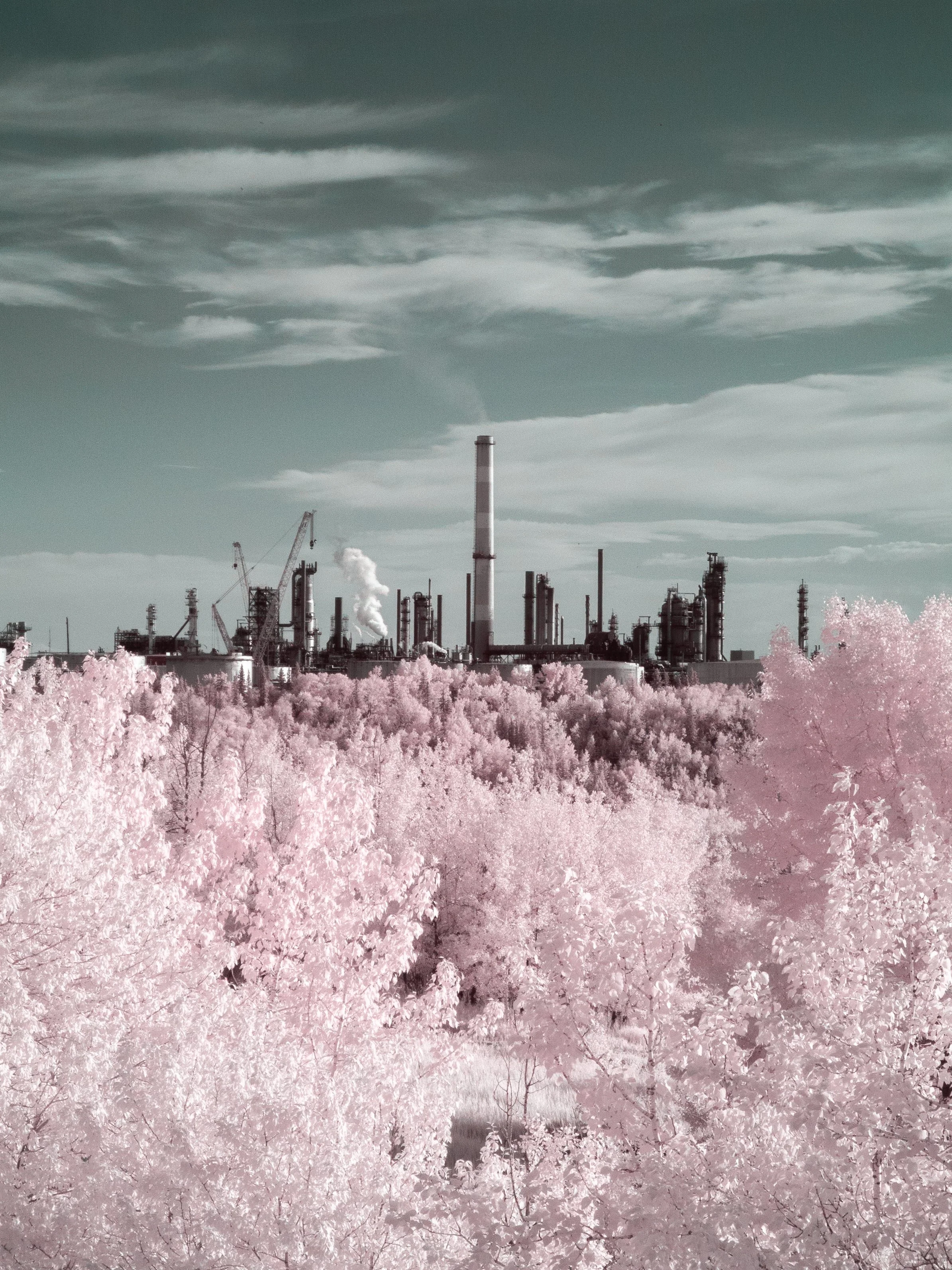 2024-06-17 - IR-6.jpg