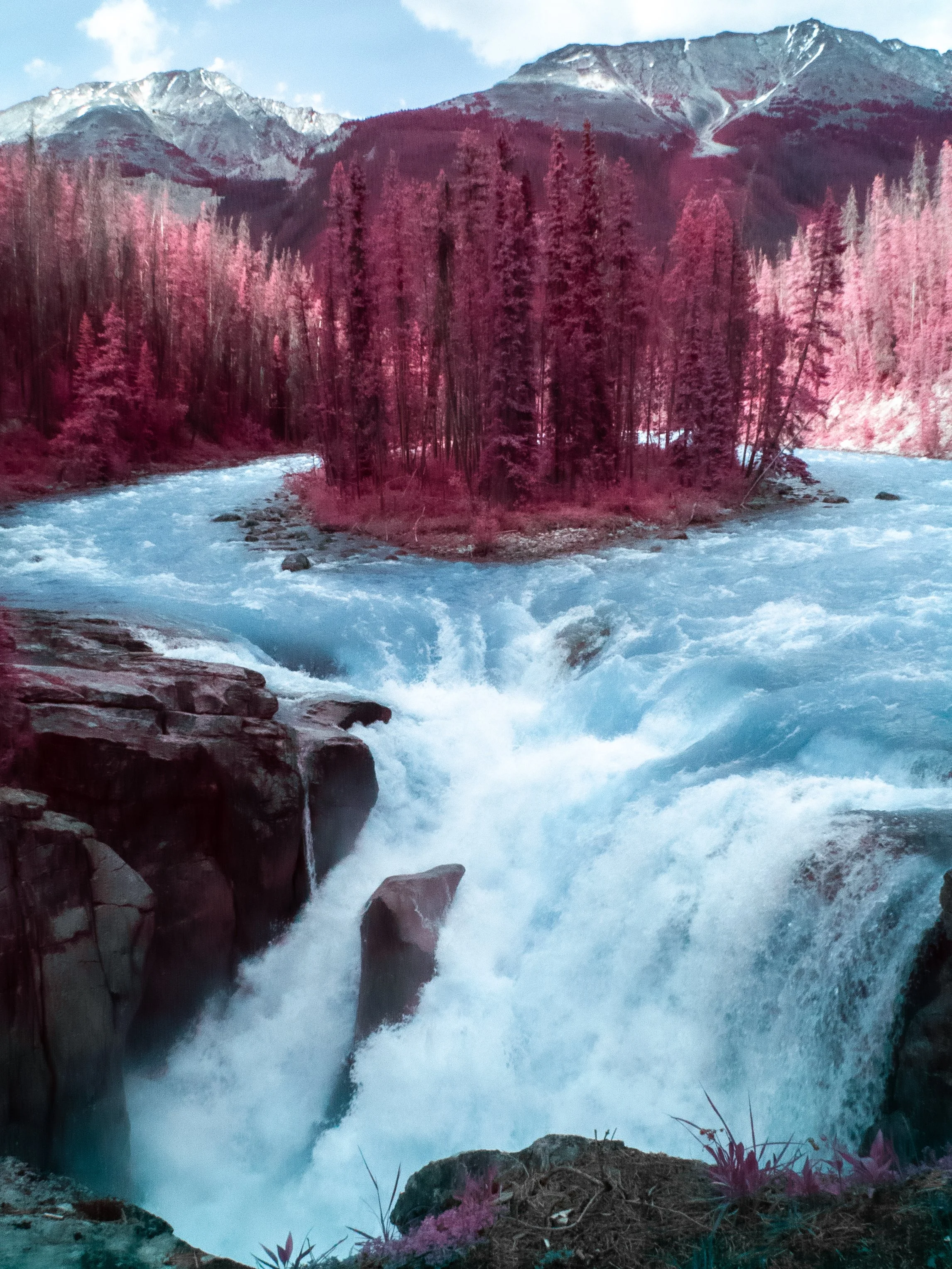 2025-05-26 - IR-5.jpg