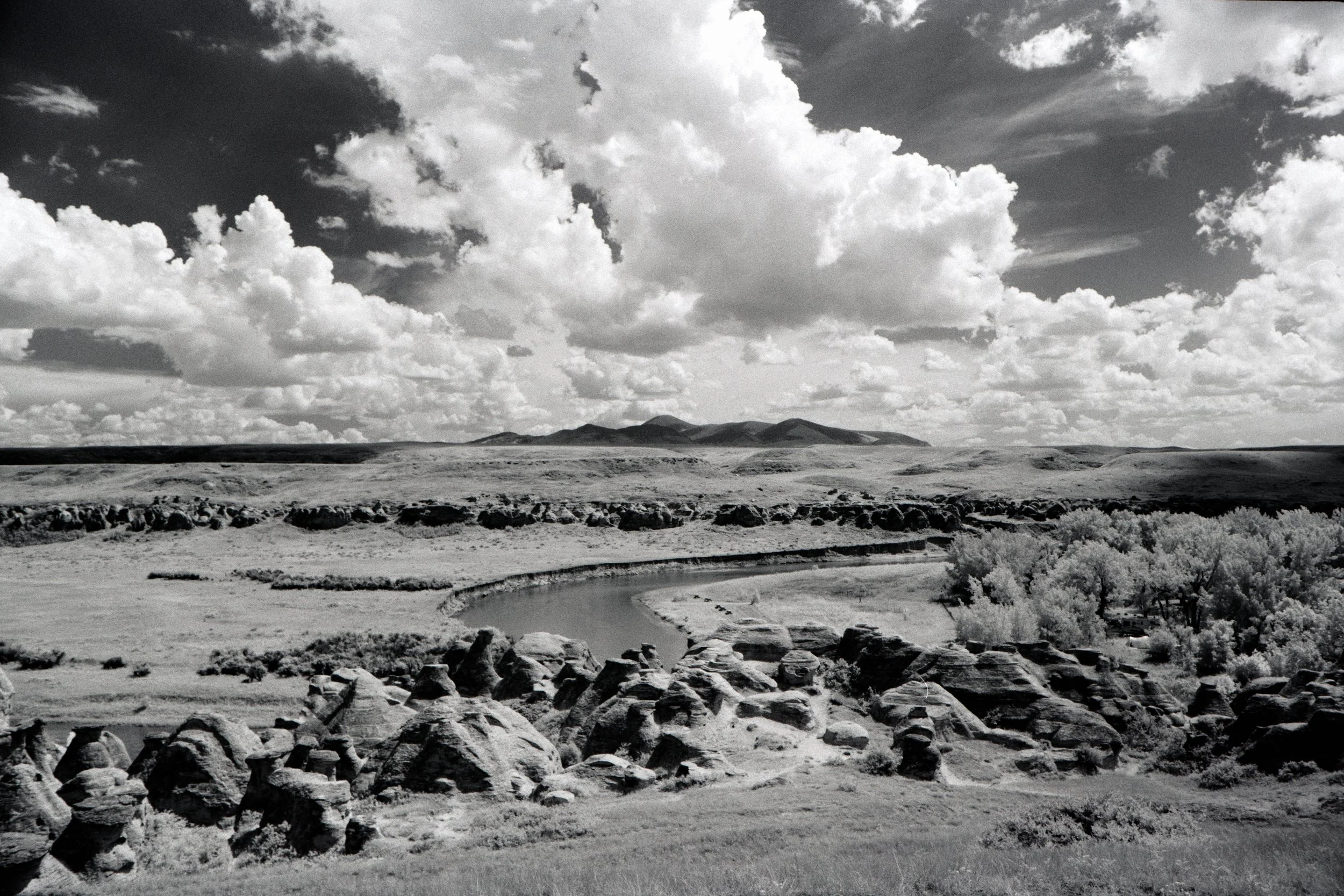 2019-12-30 - BWXX-10.jpg