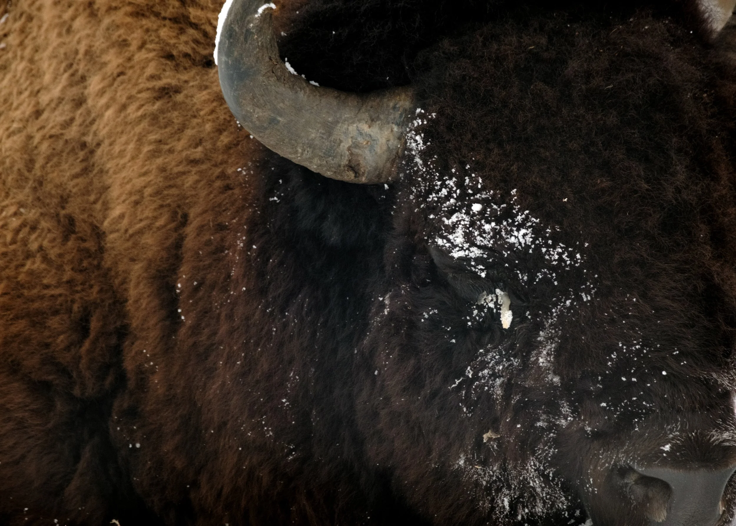 2025-12-09 - Bis-22.jpg