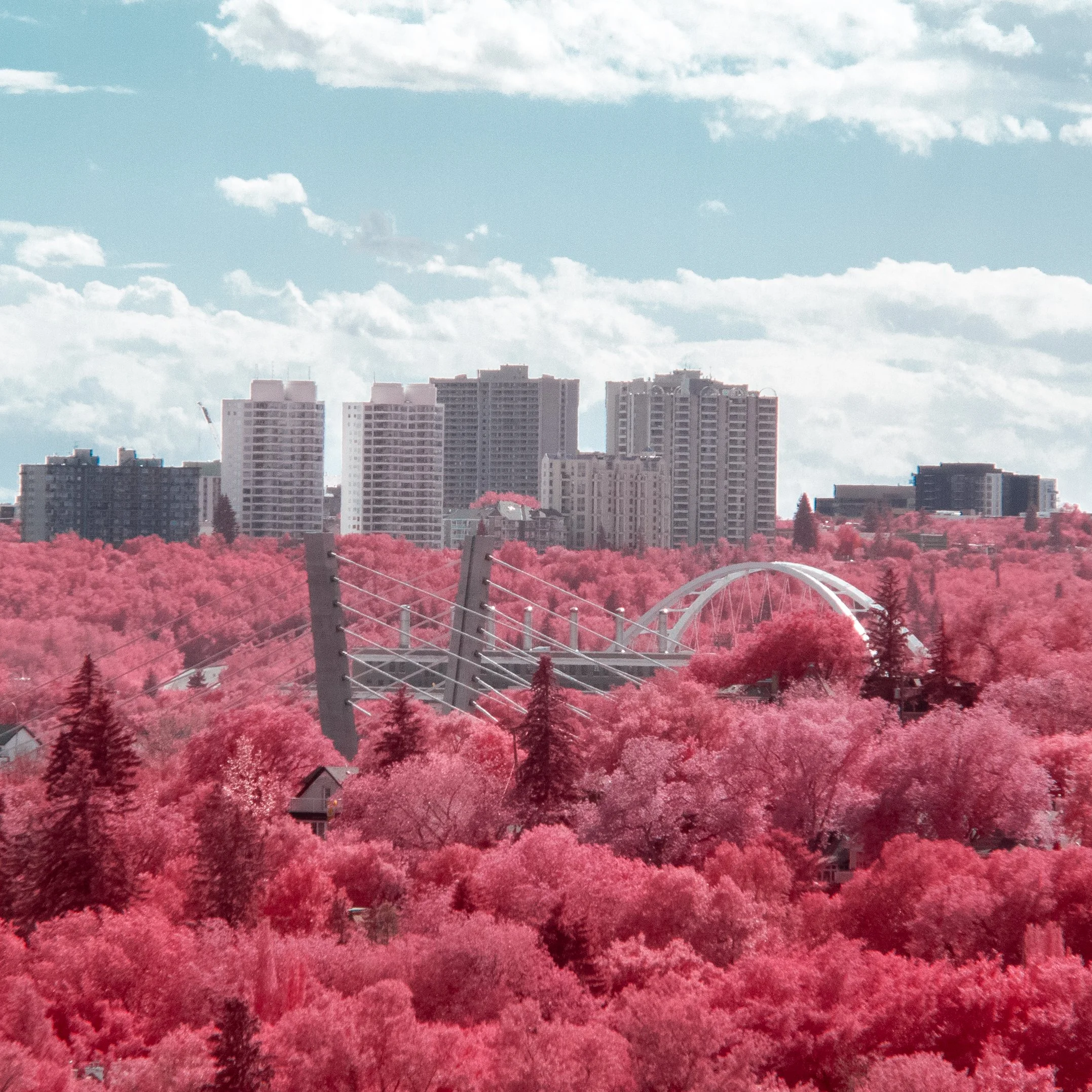 Digital Infrared