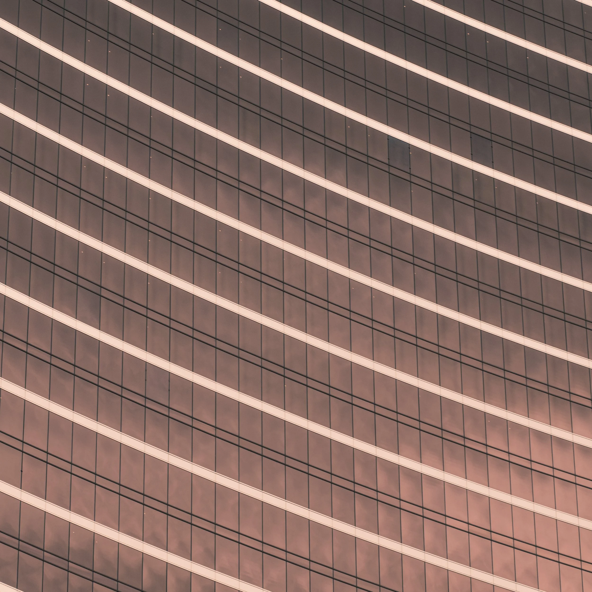 2019-03-04 - Wynn I.jpg