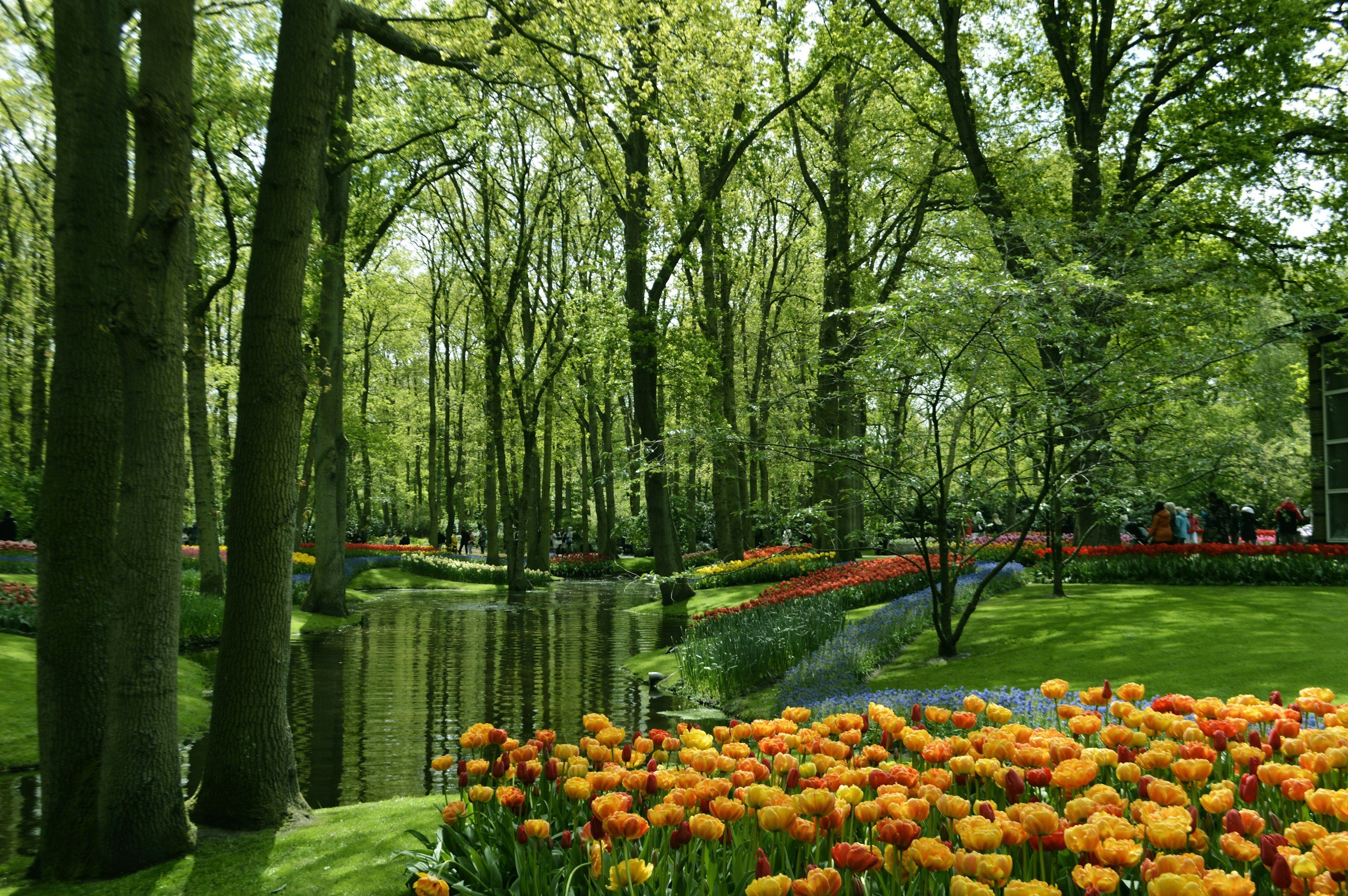 keukenhof