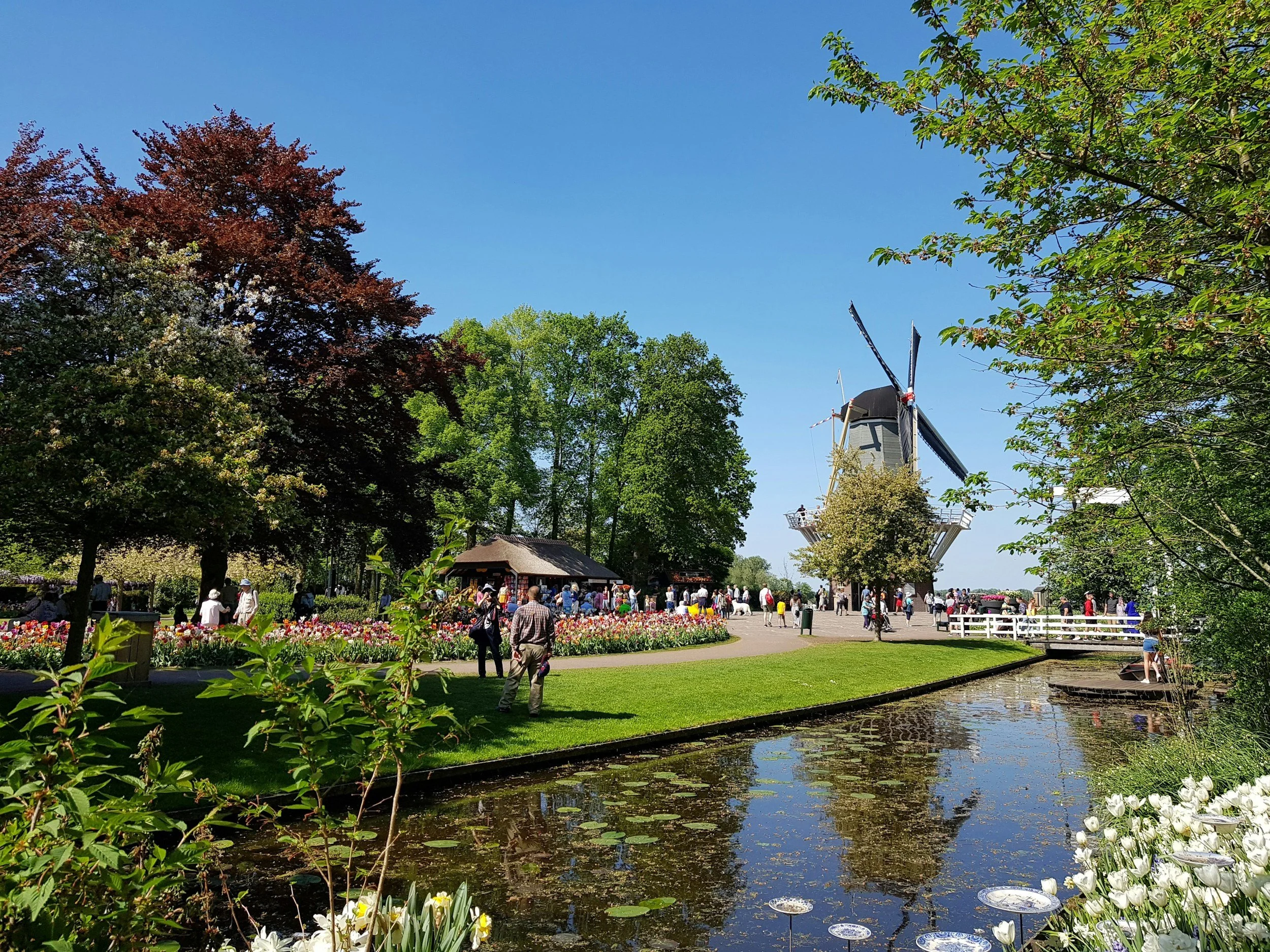 Keukenhof windmill on sunny day