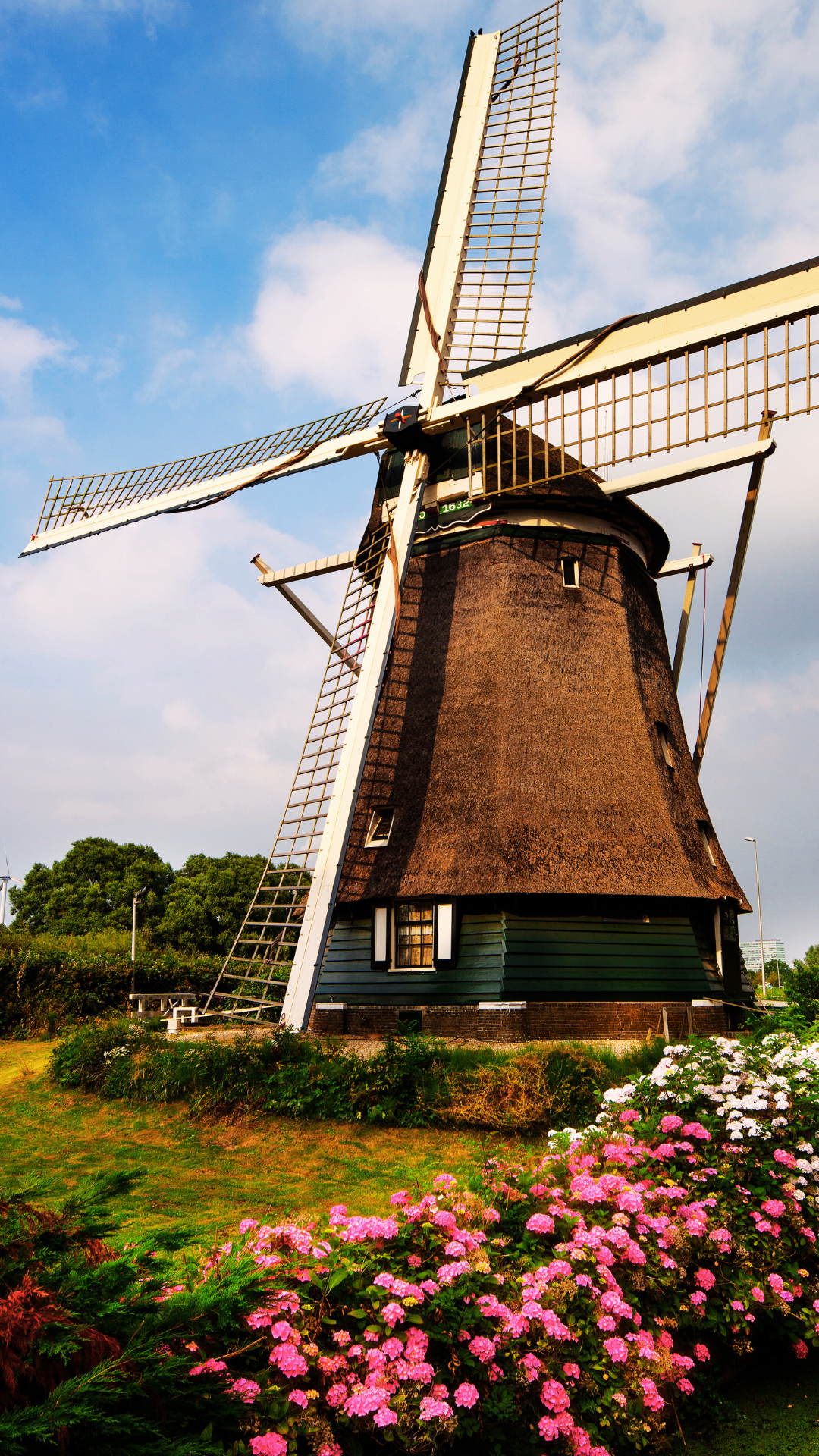 Holland Countryside