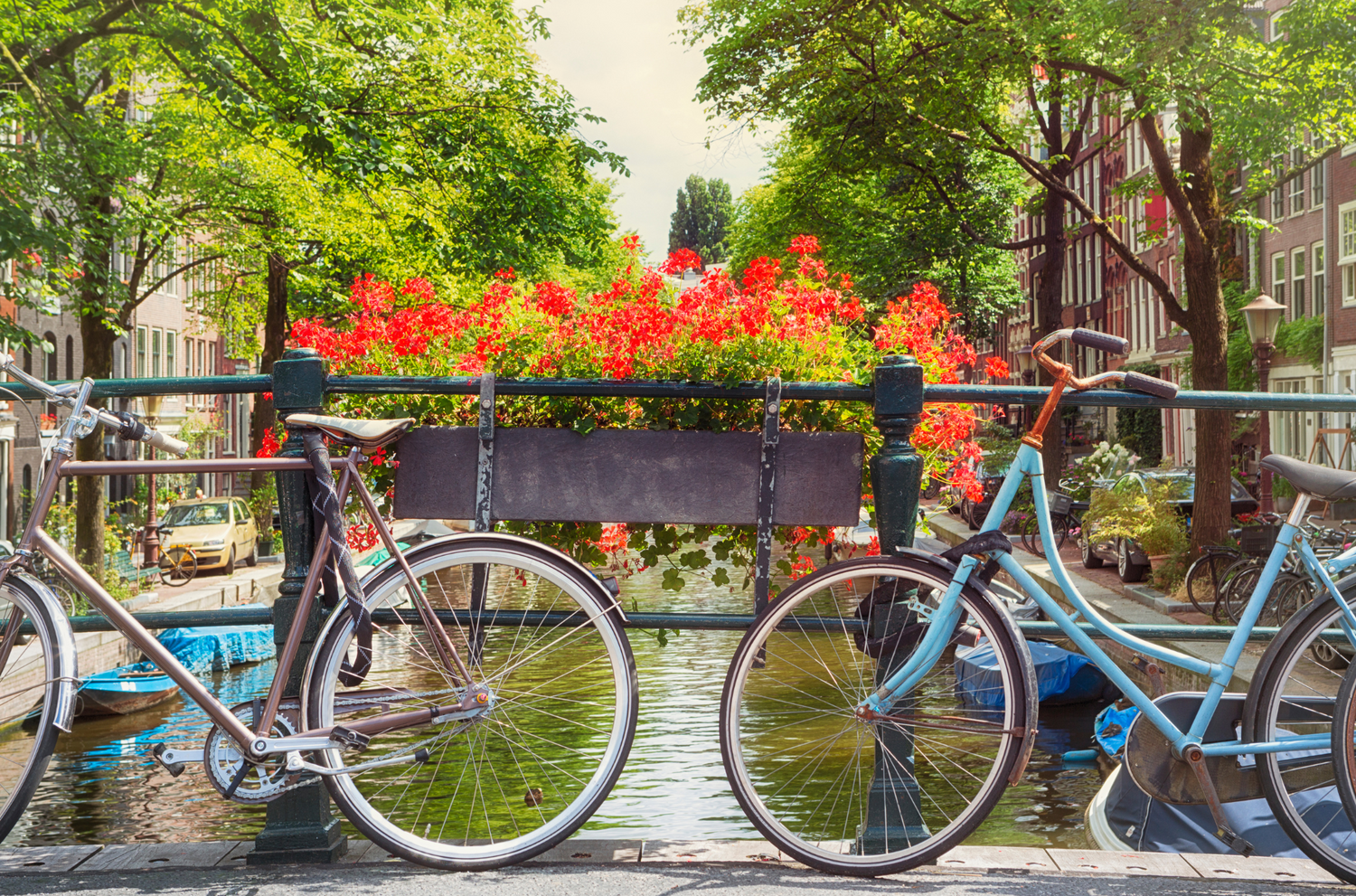 Amsterdam Highlights - Private Walking tour