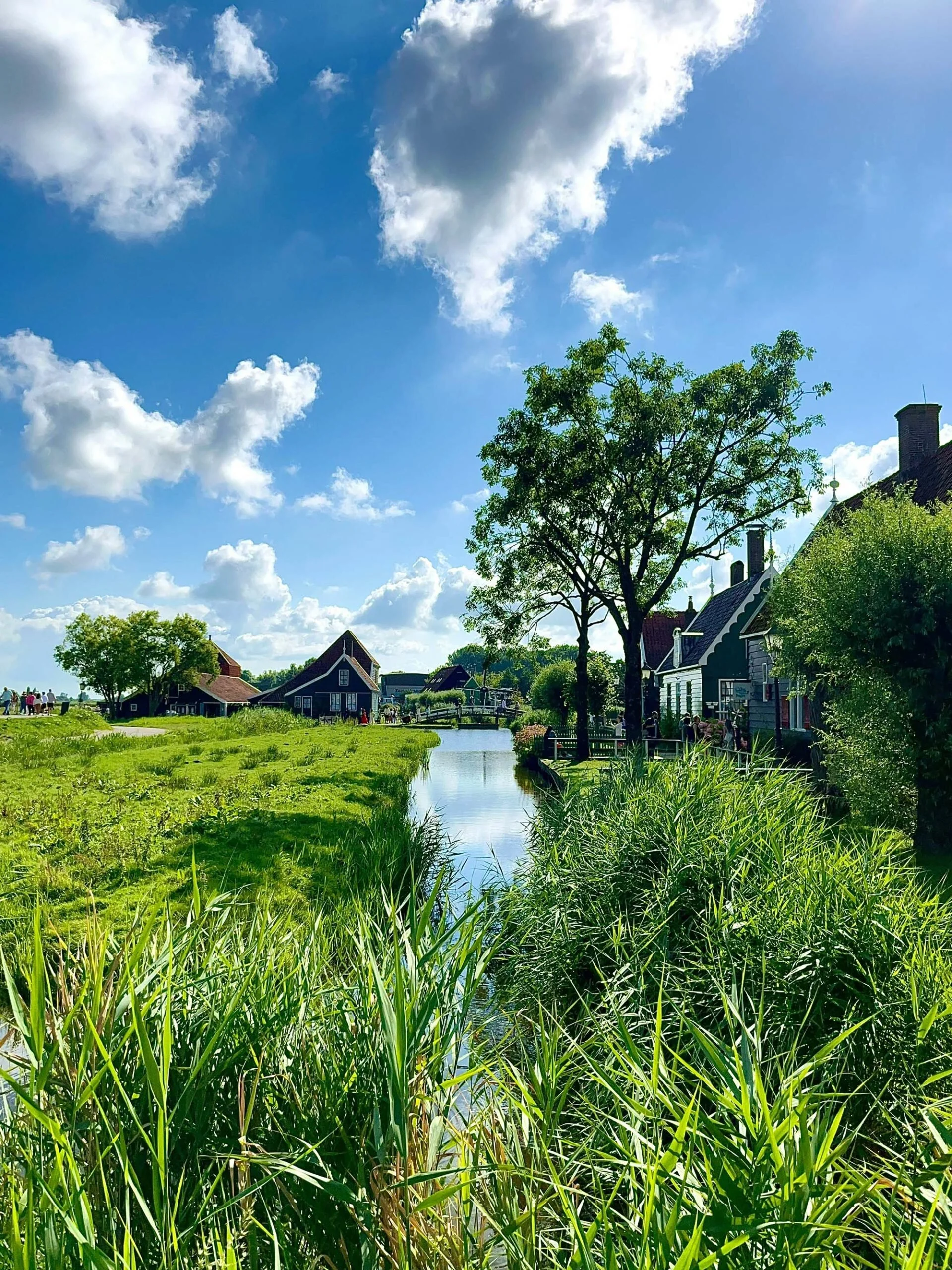 Countryside in the Netherlands
