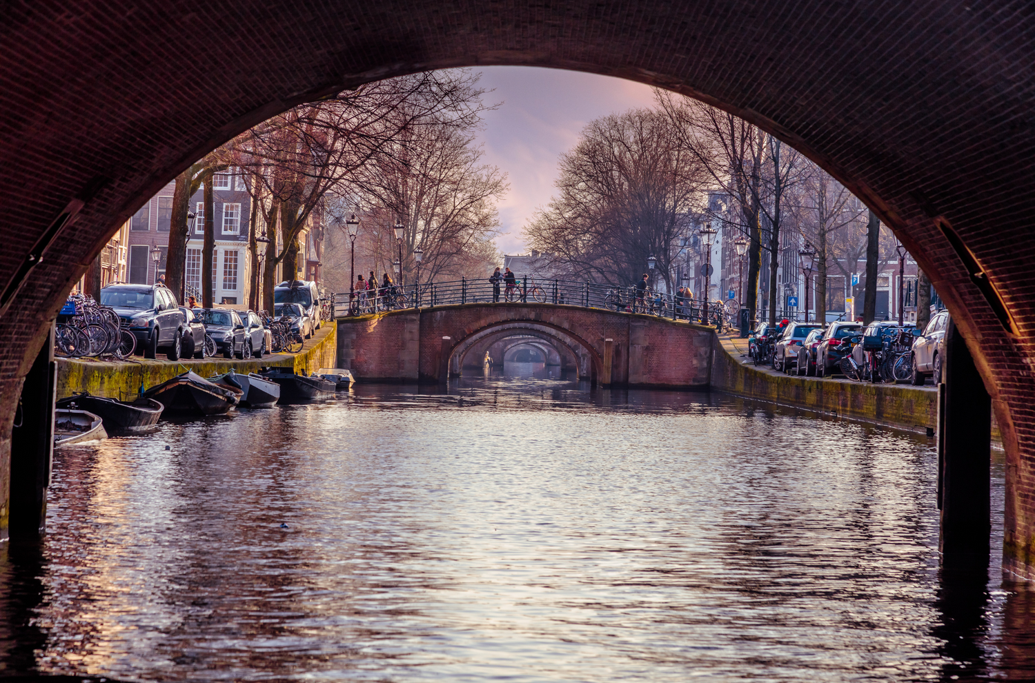 Copy of Untitled Design 6_png 1.png