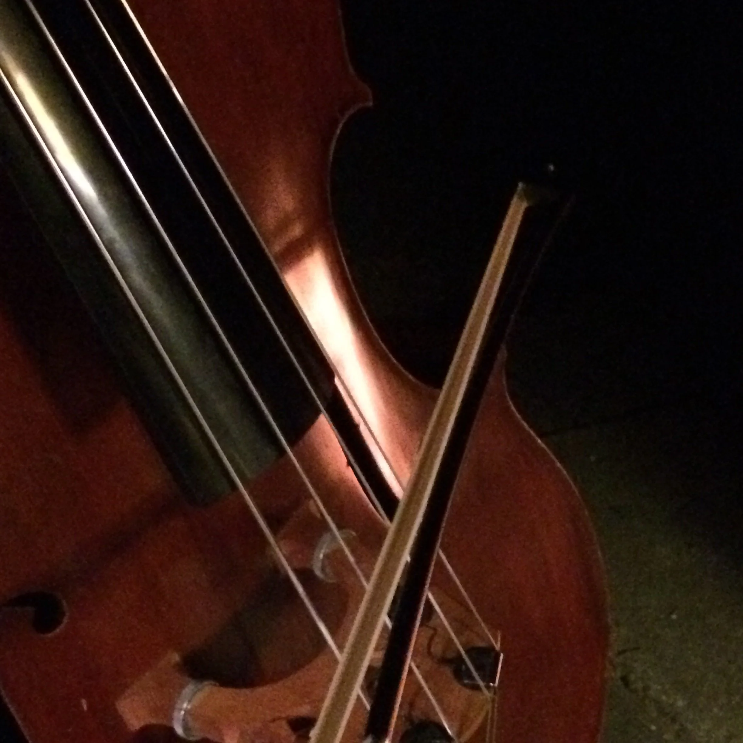 A close-up view of a violin with its bow resting on the strings, showing the wooden body, strings, and a black chin rest.