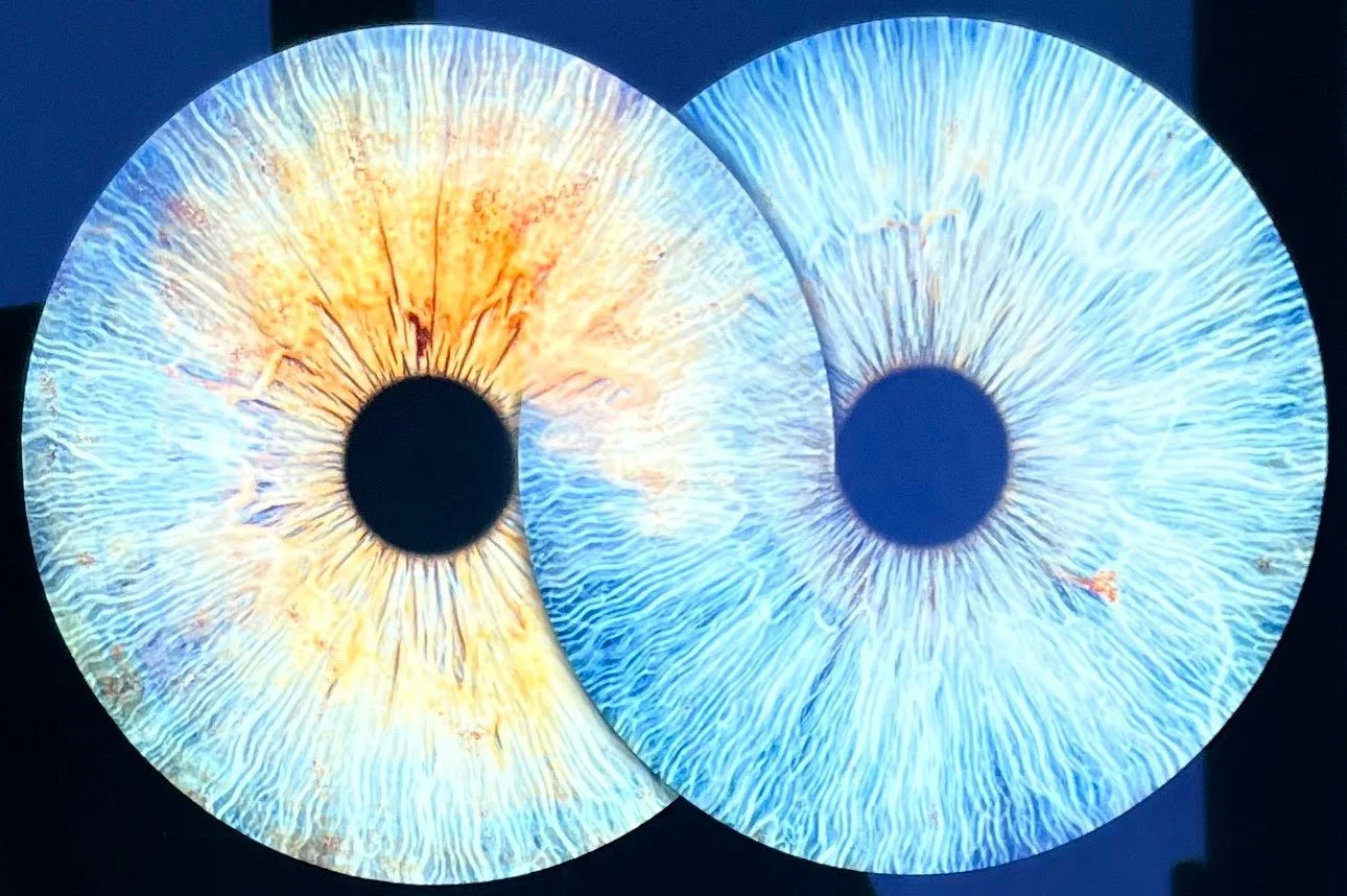 Close-up image of two illuminated circular displays of two enlarged human irises, one with orange and yellow hues and the other with blue hues, showcasing intricate details of the iris patterns and the visions for the future coming together.