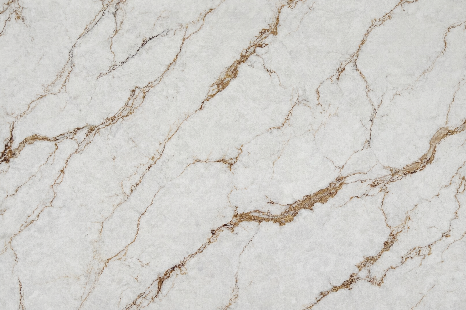 ChatGPT Image Feb 24, 2026, 09_17_46 AM.png