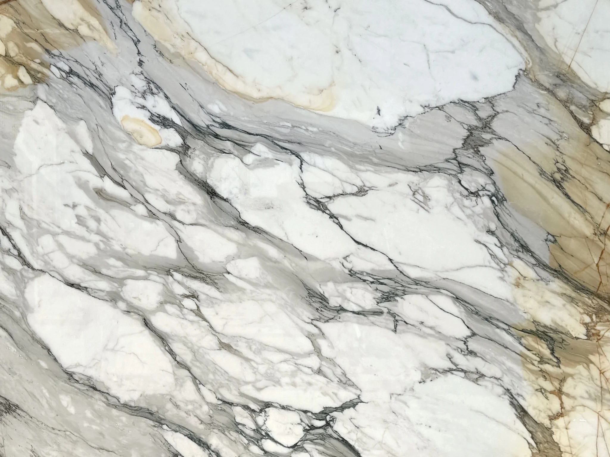 Marble - Calacatta Borghini.jpg