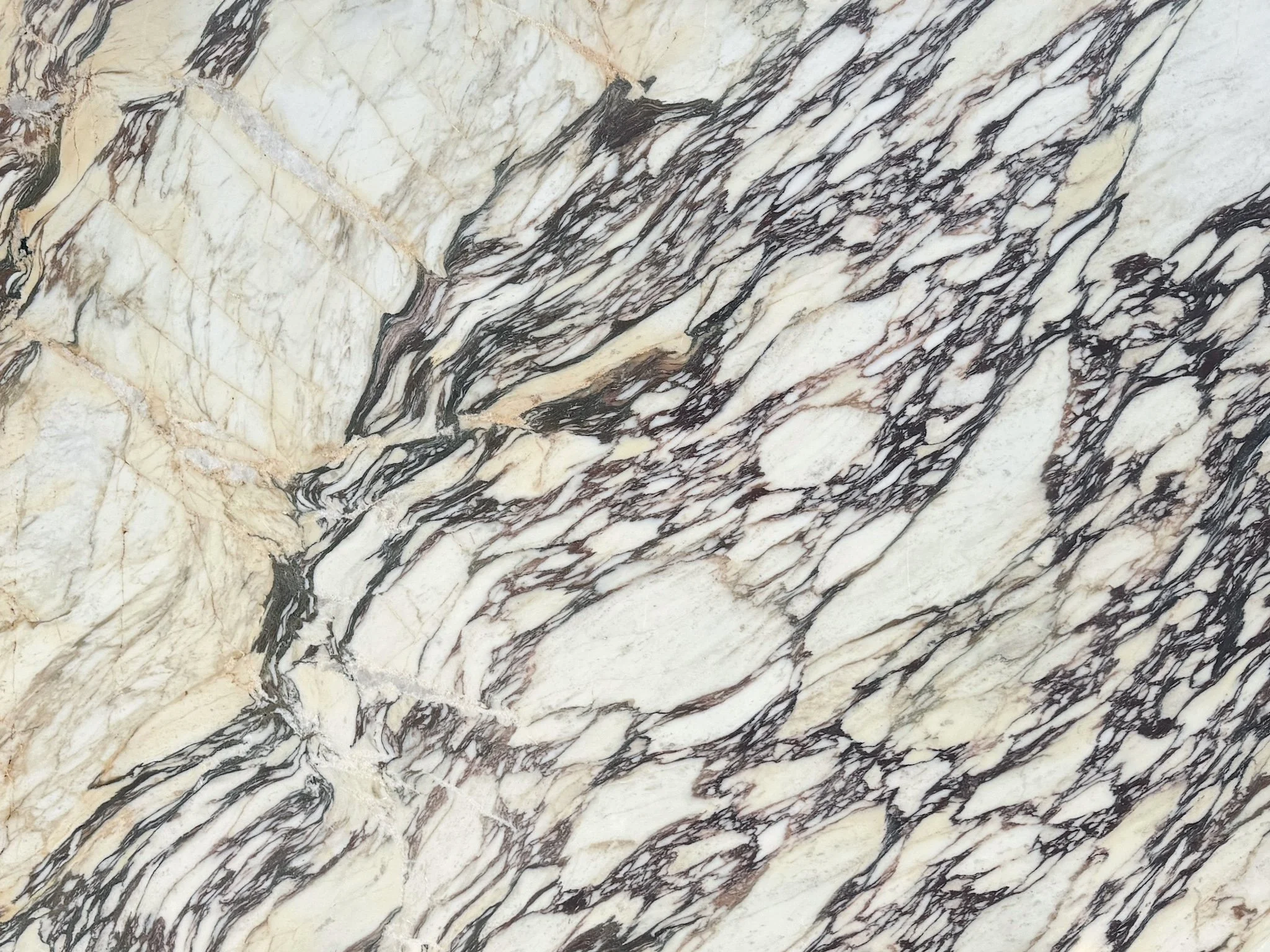 Marble - Calacatta Viola - Honed.jpg