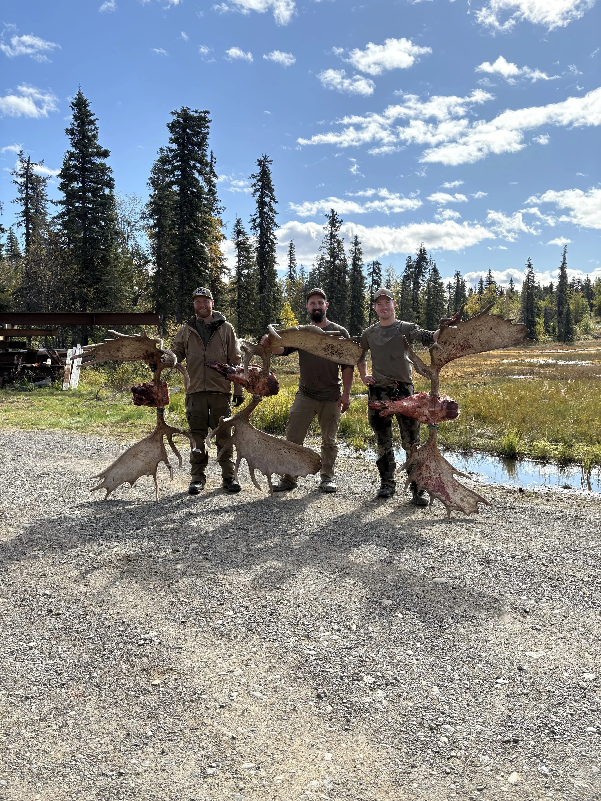 Alaska Moose/Wolf Package (Limited)