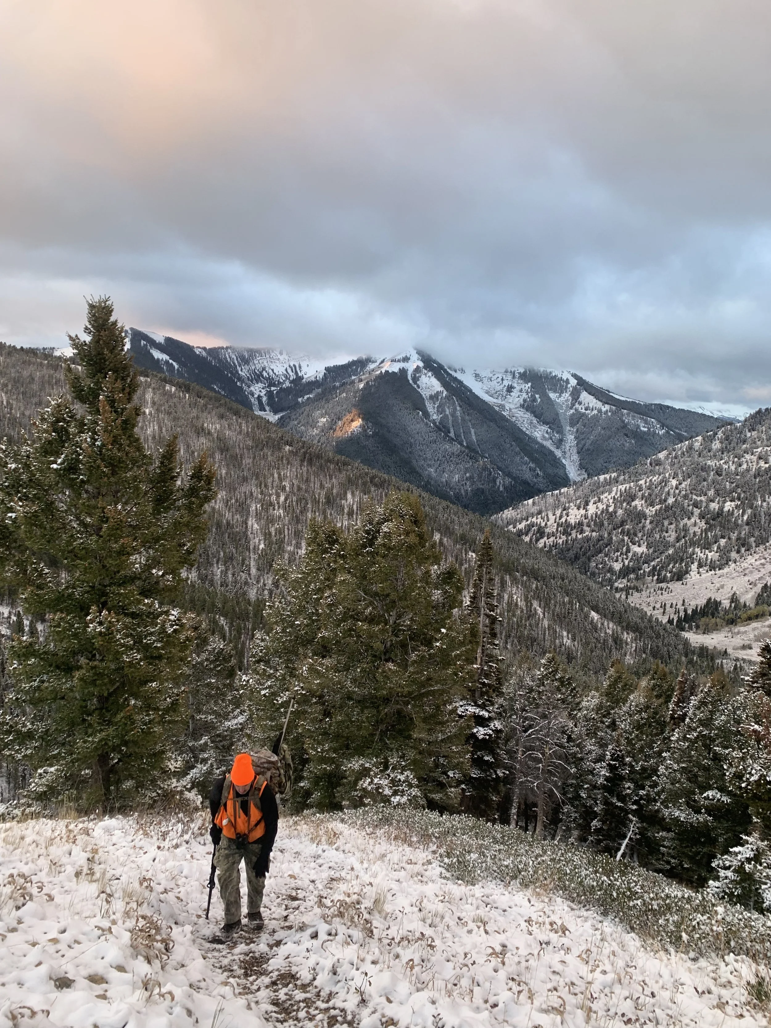 Elite Level: Hunt Planner (Limited)