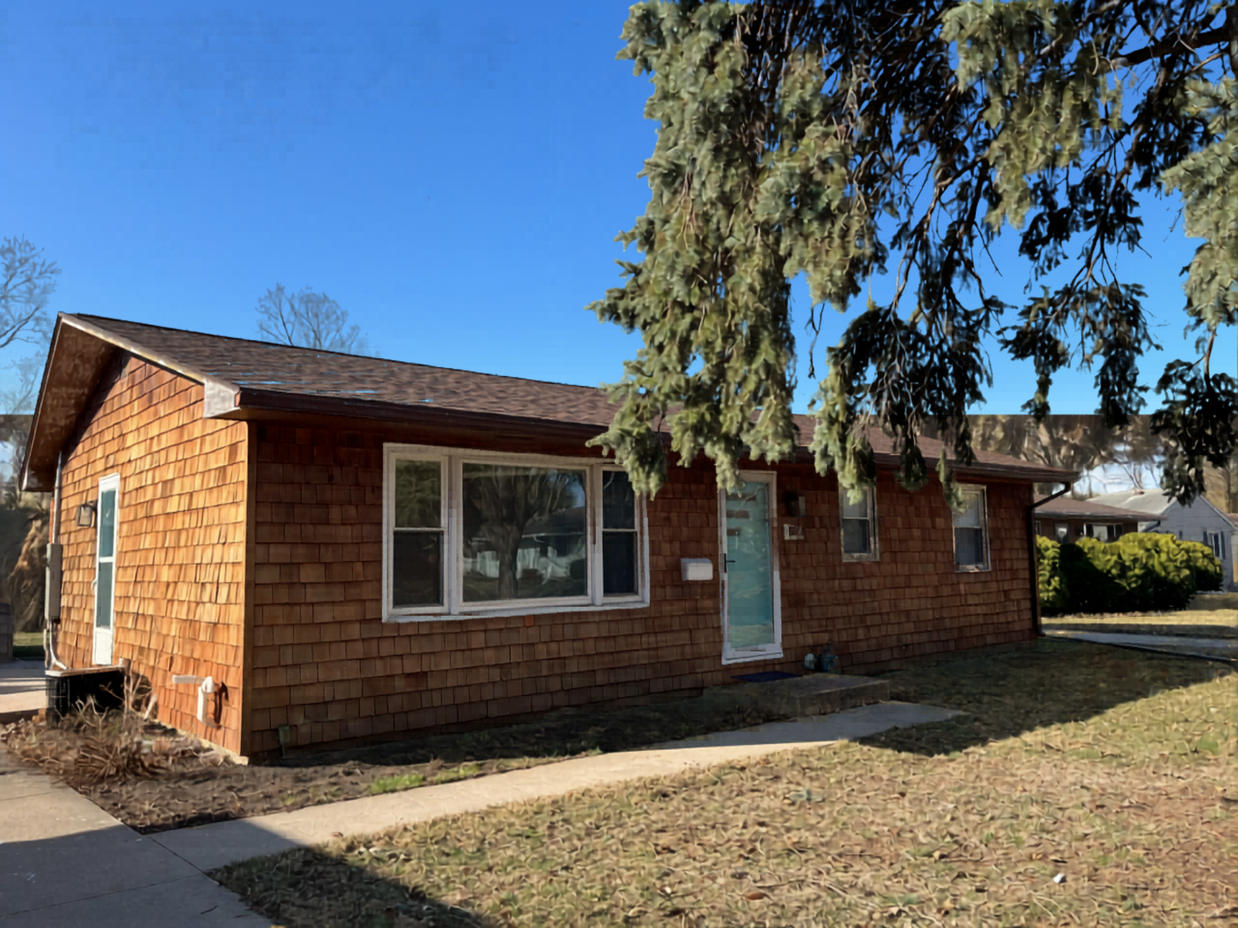 Back to the Beginning