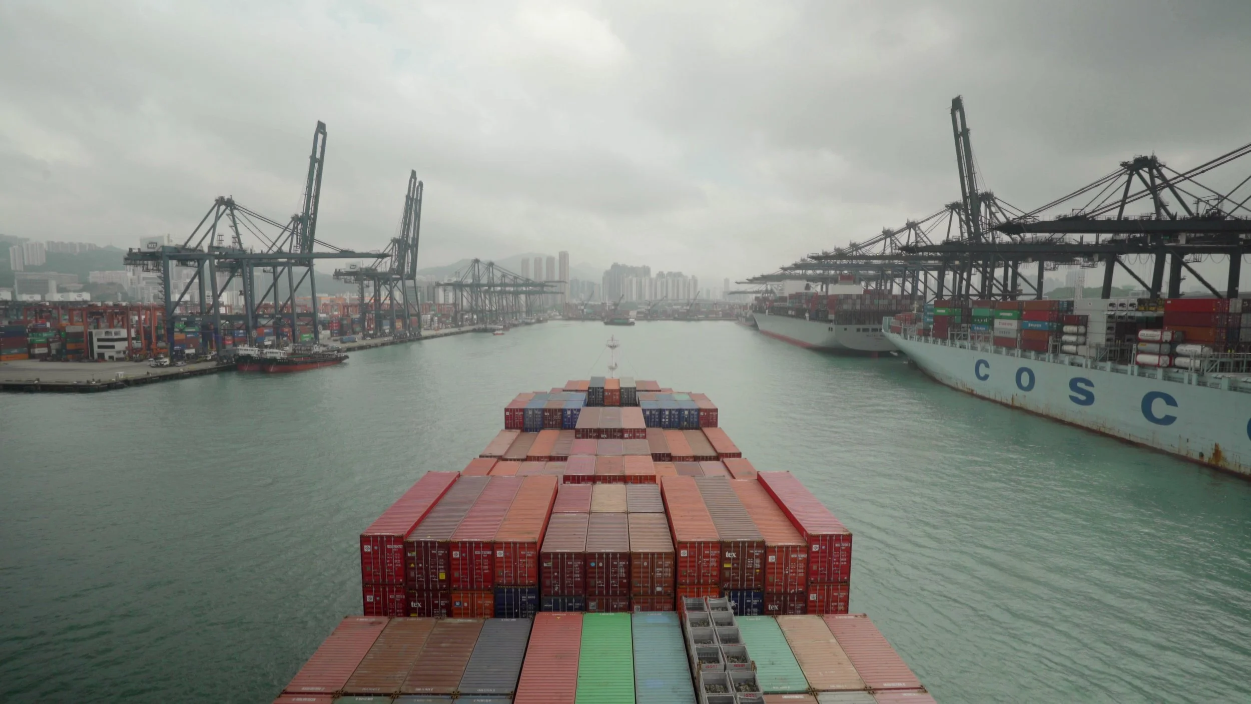 Still from Bo Wang and Pan Lu, Many Undulating Things, 2019