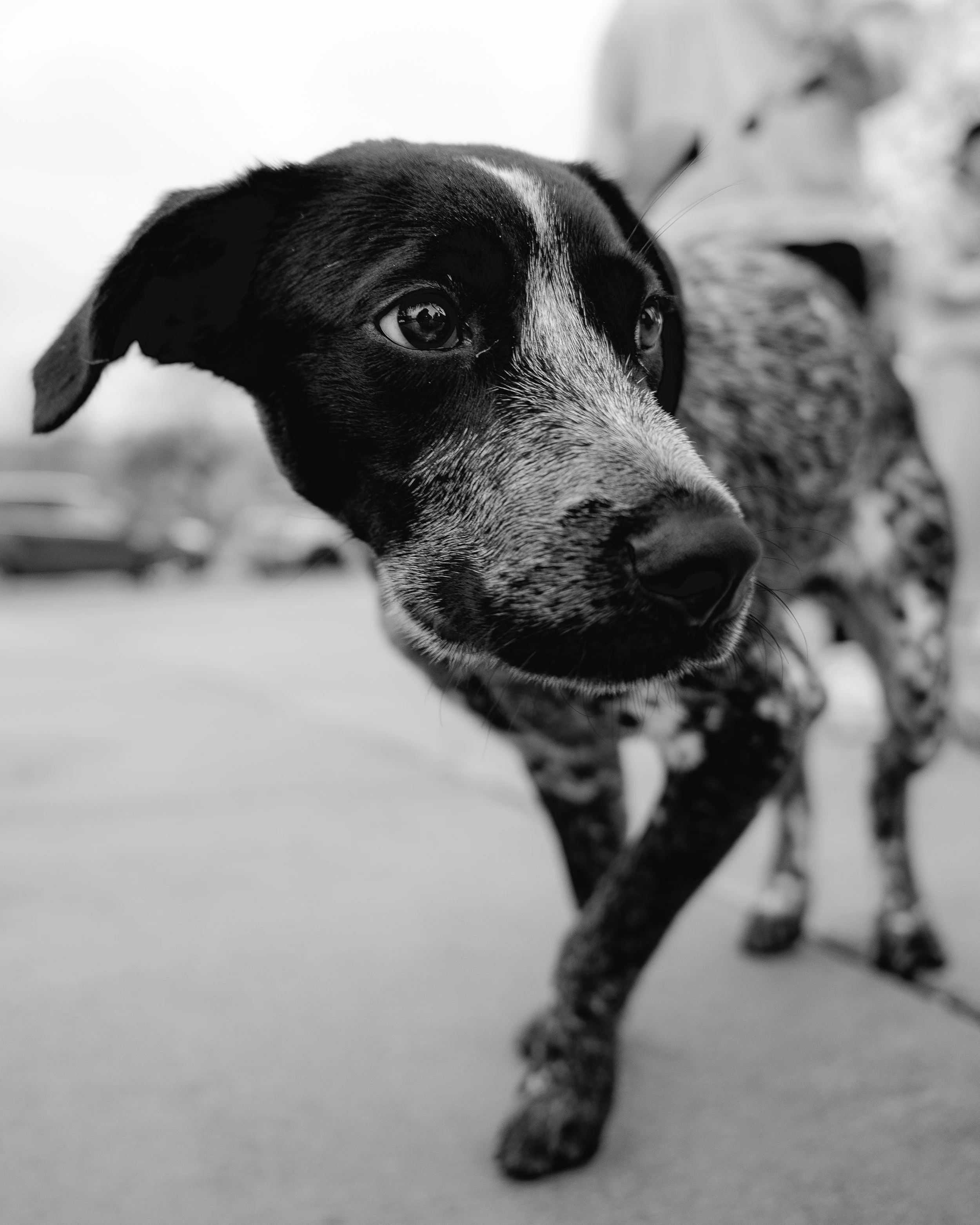 Jaden Akins -34.JPG