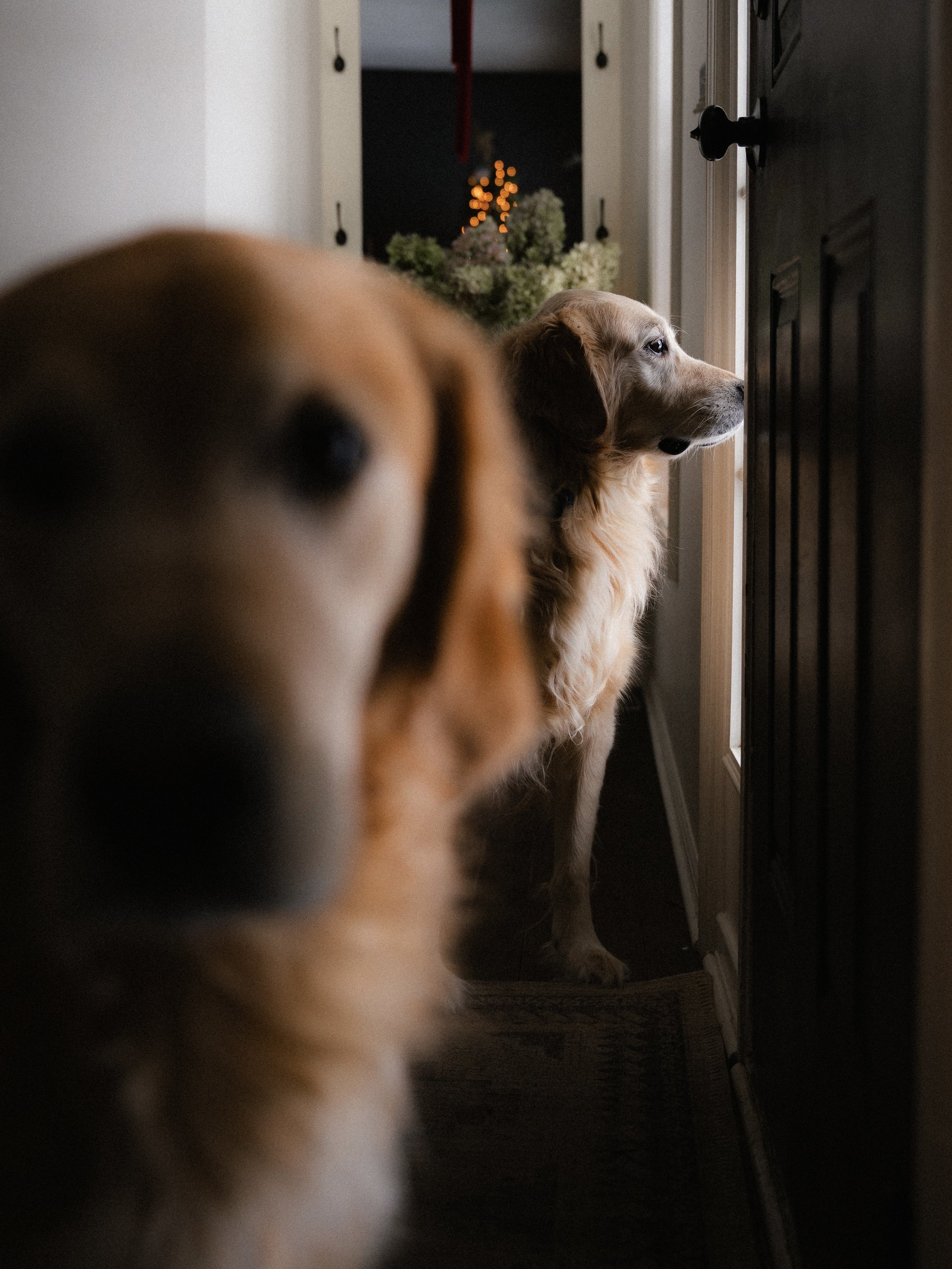Untitled-1259.jpg