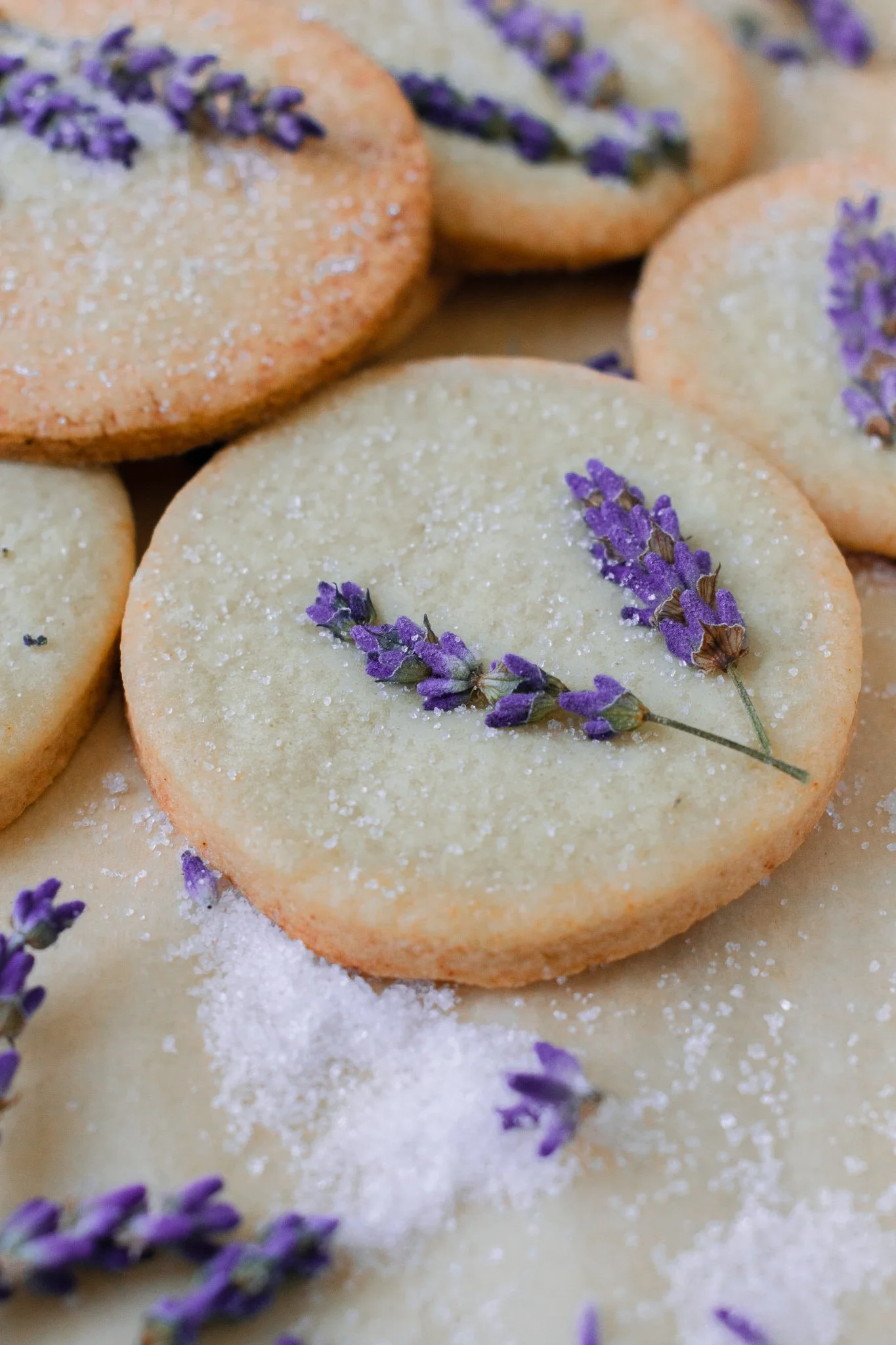 💜 Lavender Vanilla Sugar Cookies (Soft, Fragrant &amp; Beautiful)