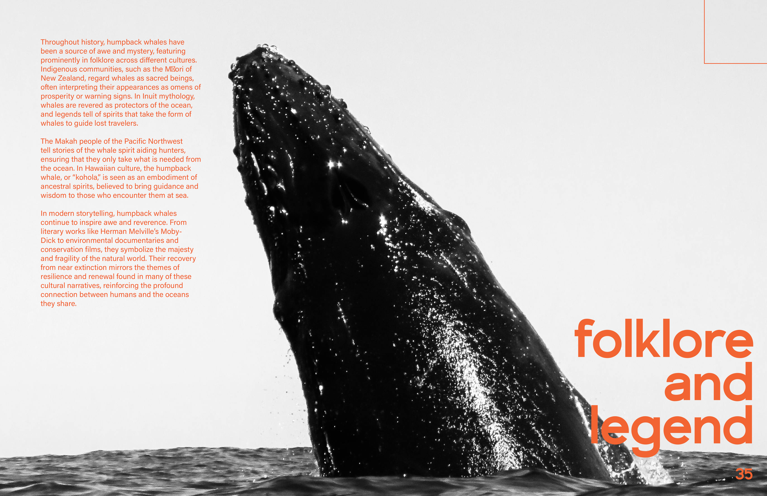 Fowler_Whale_Editorial-7.png