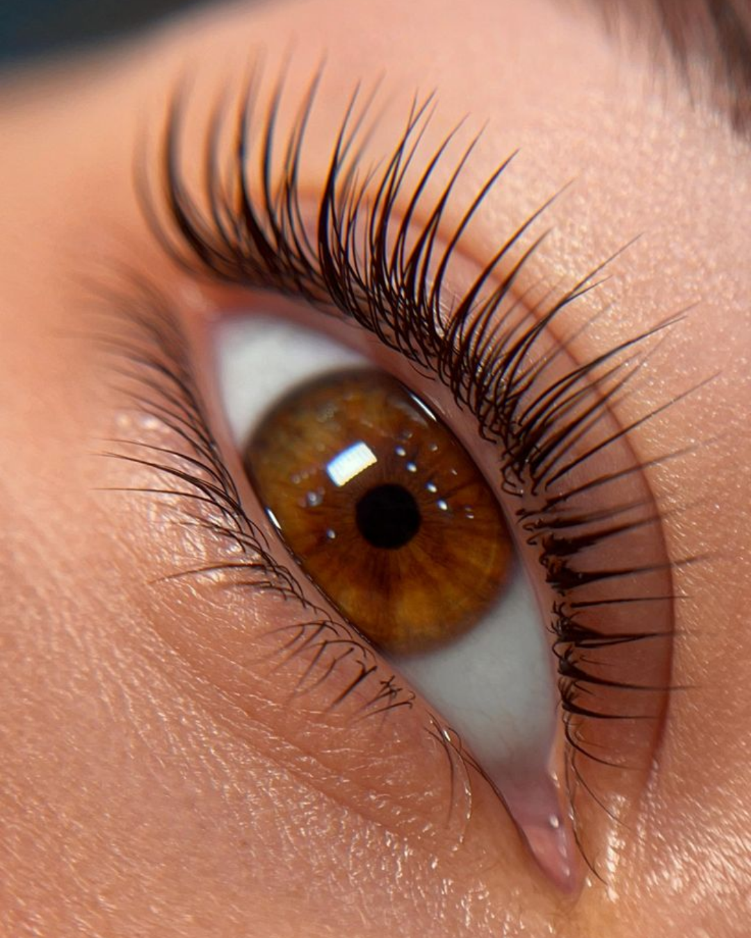 Close-up of a human eye with brown iris, long lifted and tinted eyelashes, and detailed skin around the eye.