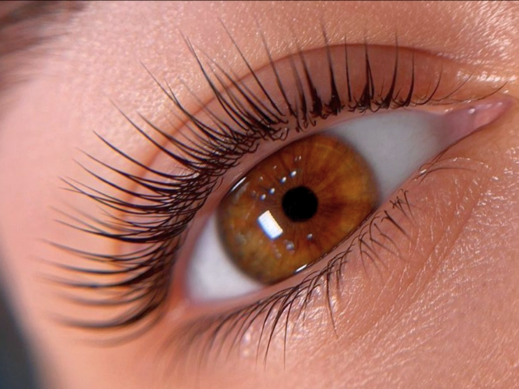 Close-up of a human eye with brown iris, long eyelashes, and detailed skin texture.