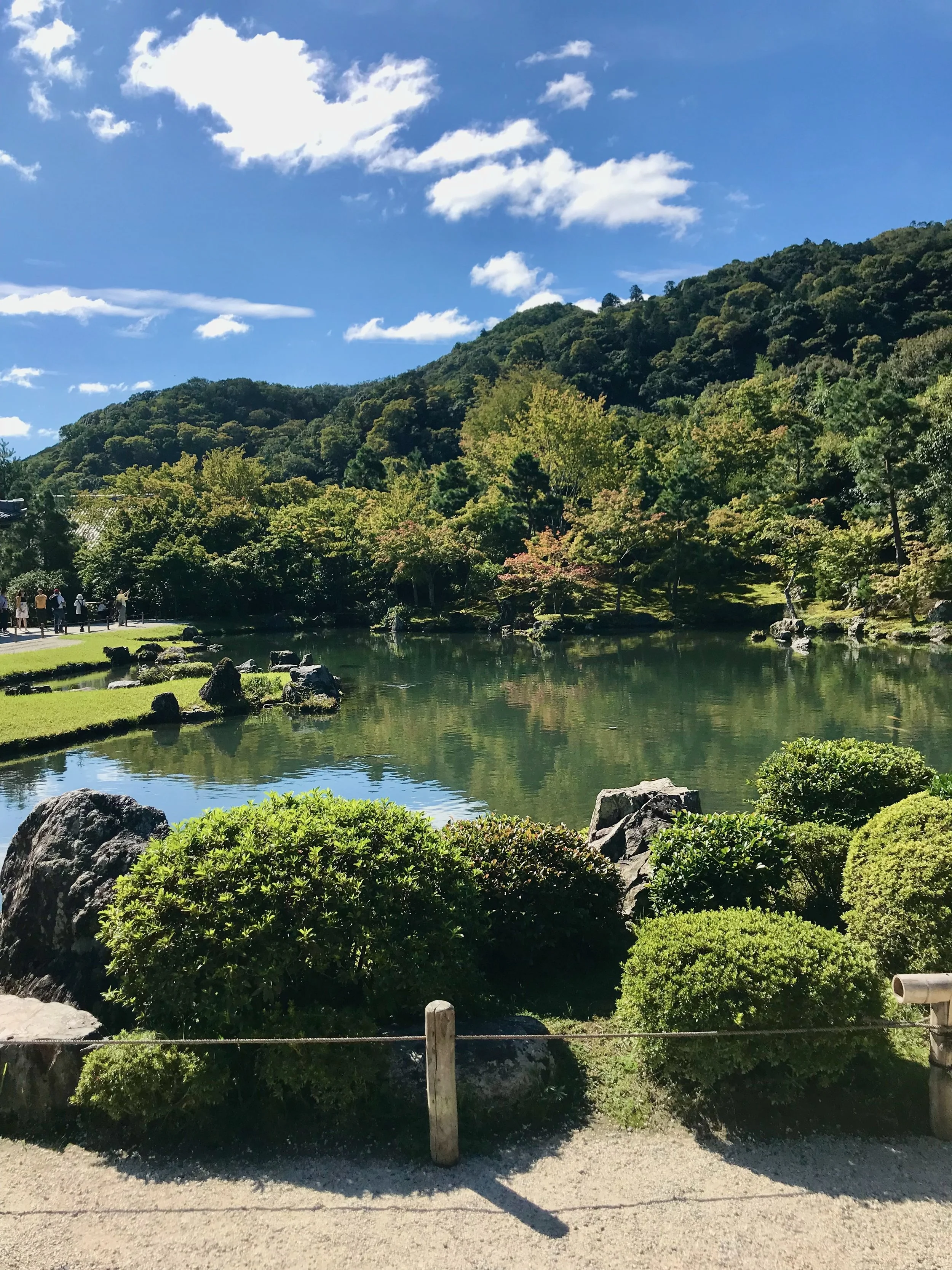 A serene landscape with a calm pond surrounded by lush green bushes and trees in the foreground, and a mountain covered in dense green forest under a blue sky with scattered white clouds.