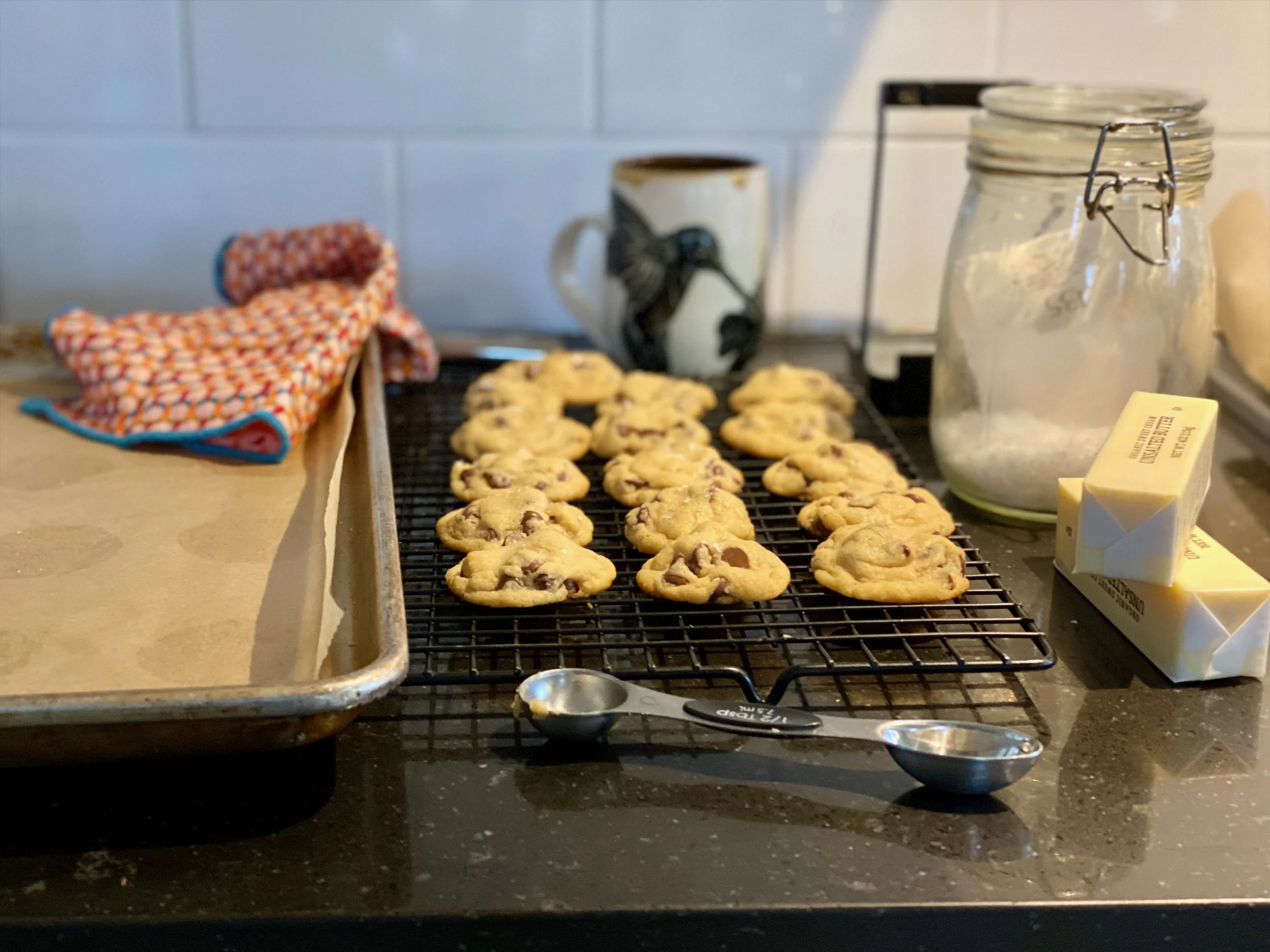 IMG_0904.jpeg