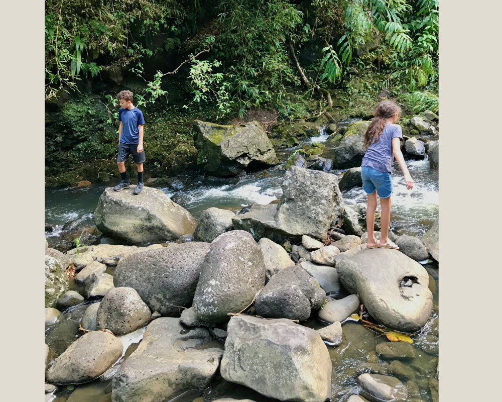 Two children, a boy and a girl, standing on rocks in a shallow stream surrounded by dense green foliage.