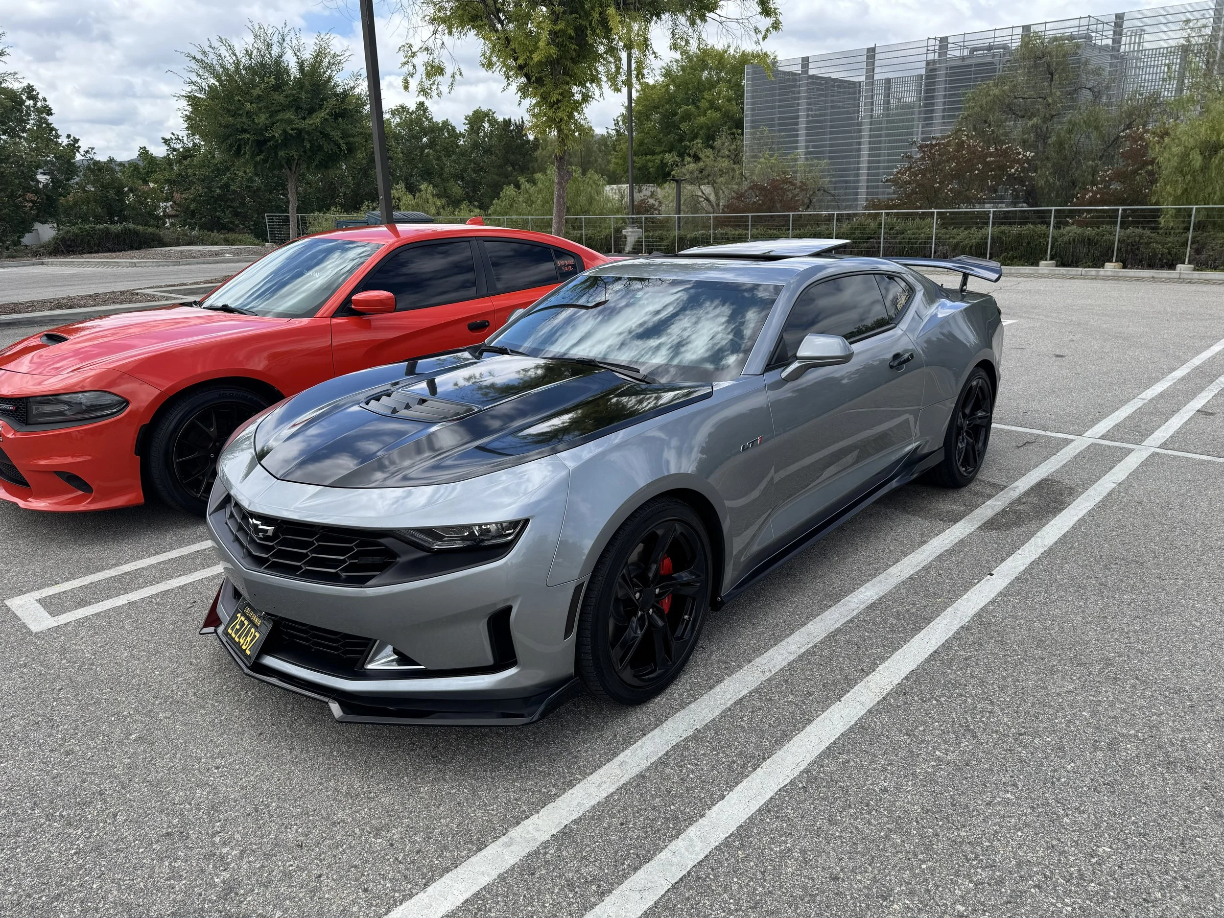 IMG_6229.jpeg