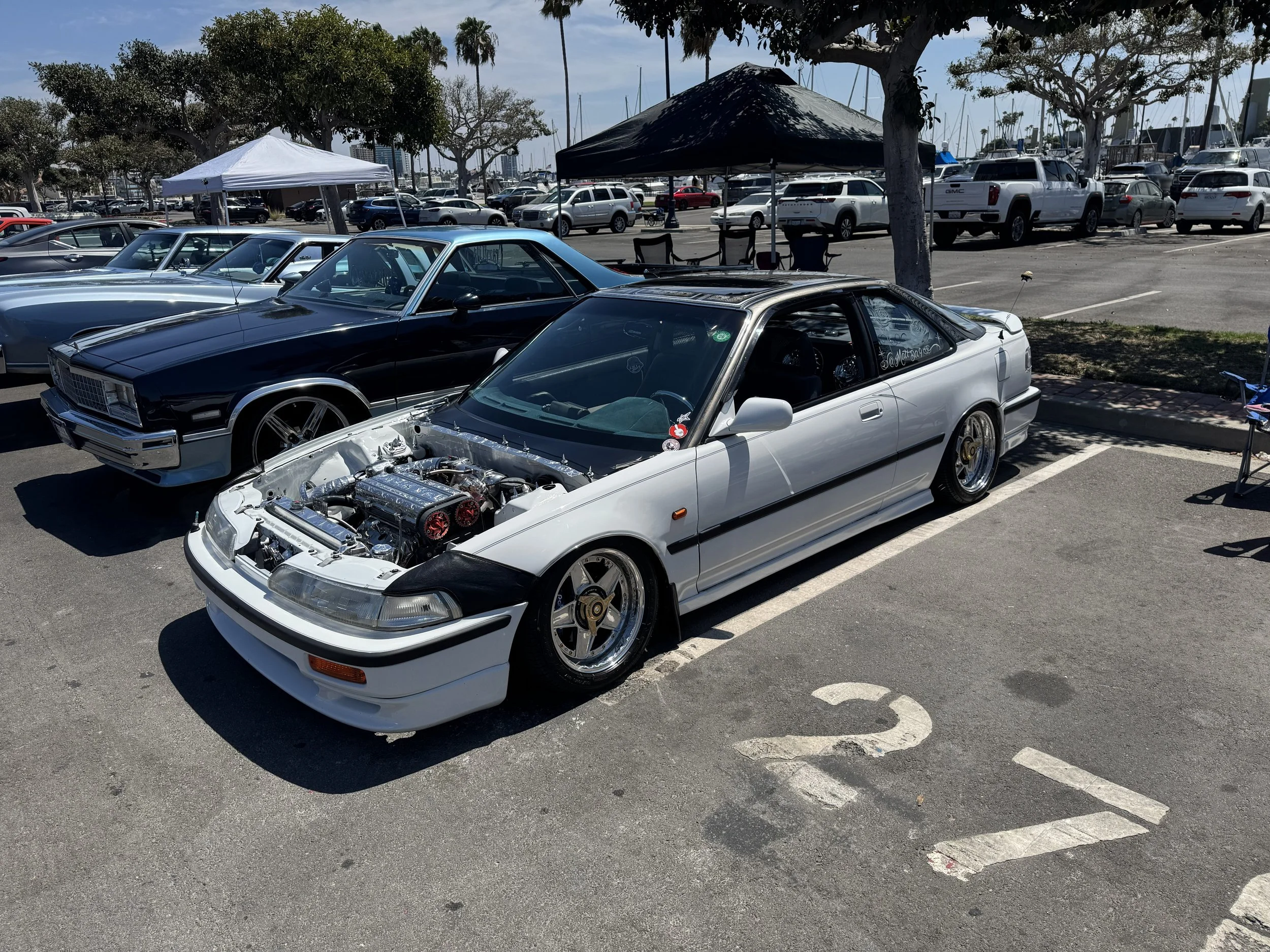 IMG_1883.jpeg