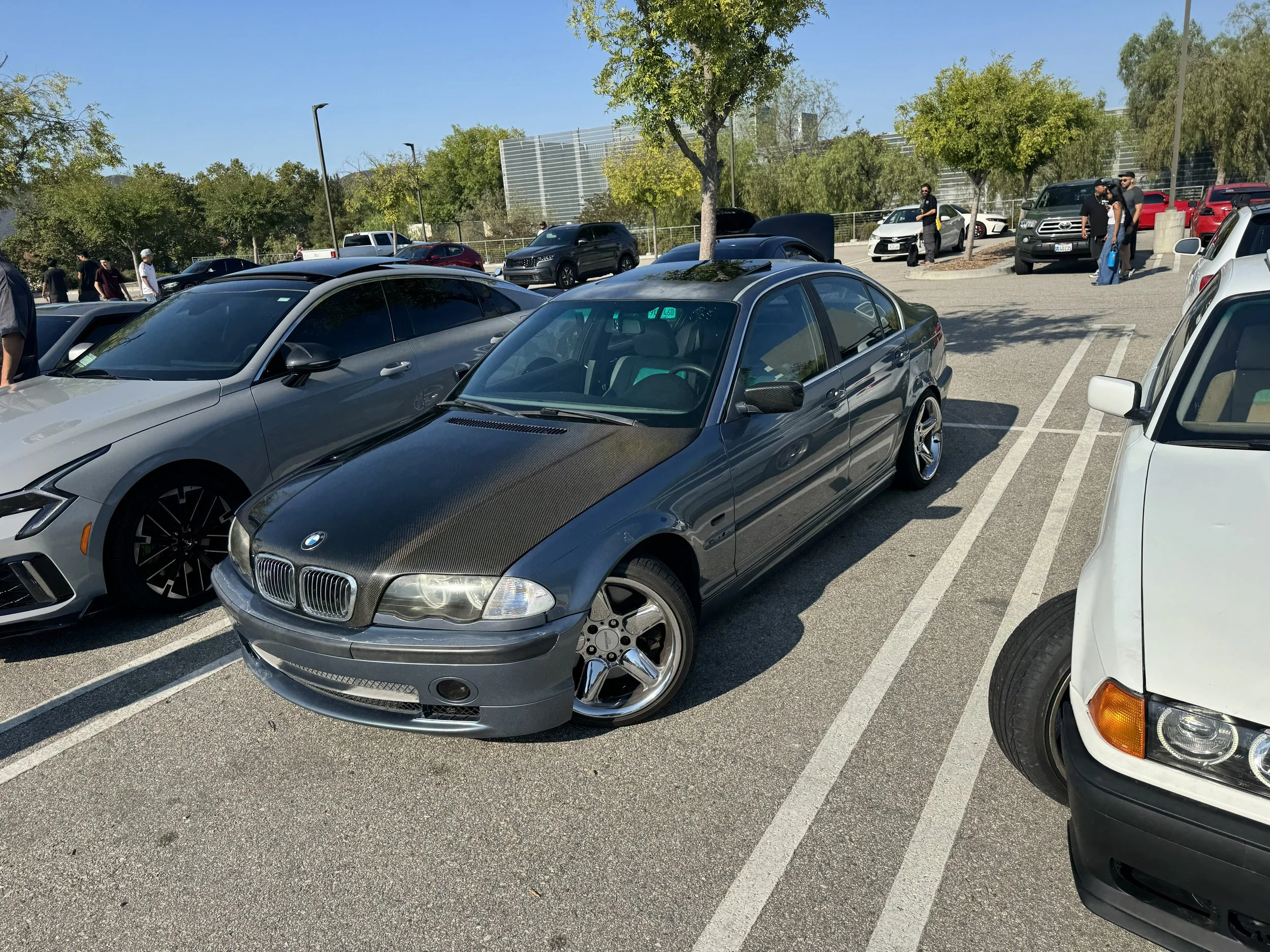 IMG_1482.jpeg
