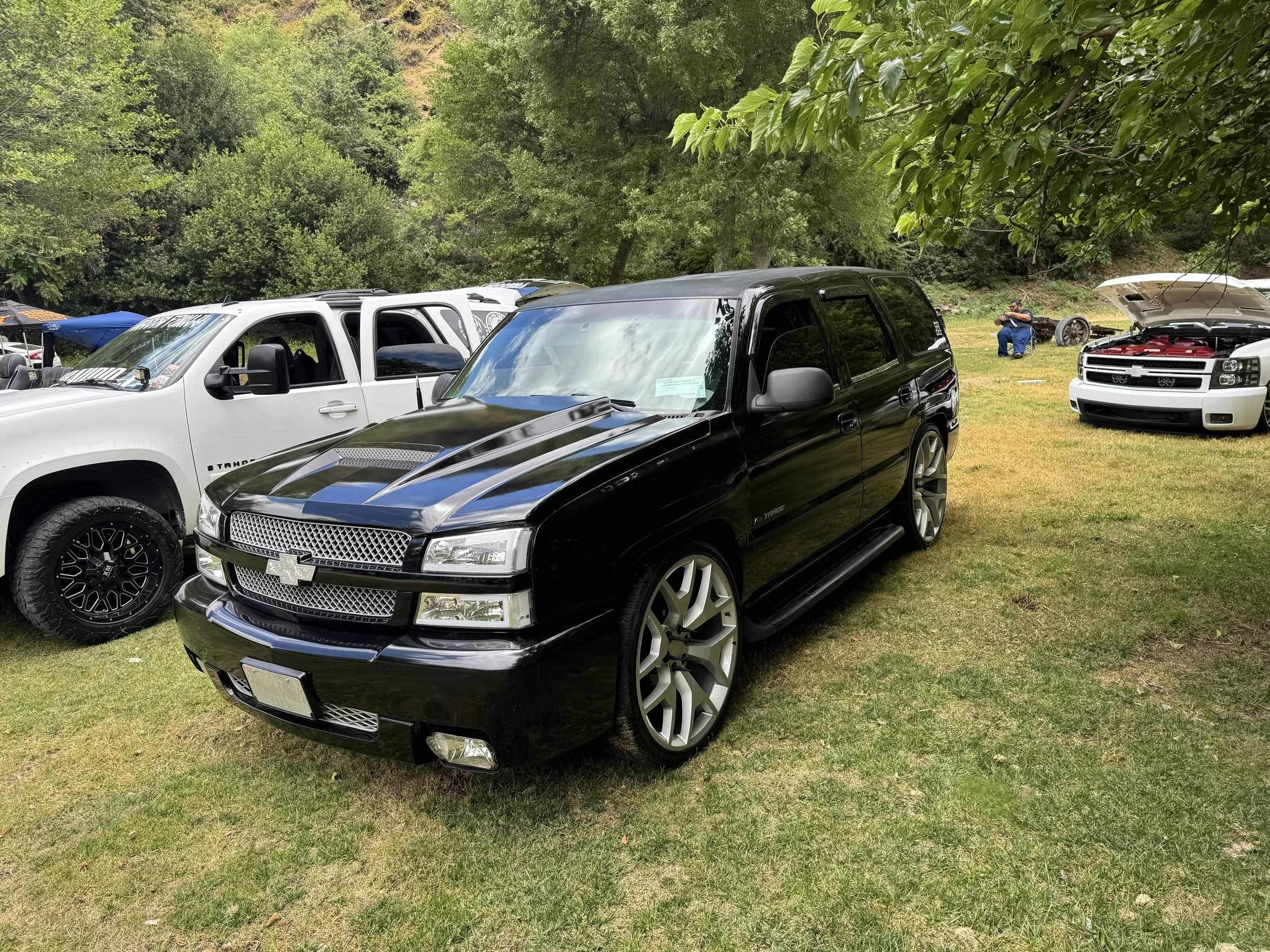 IMG_9822.jpg