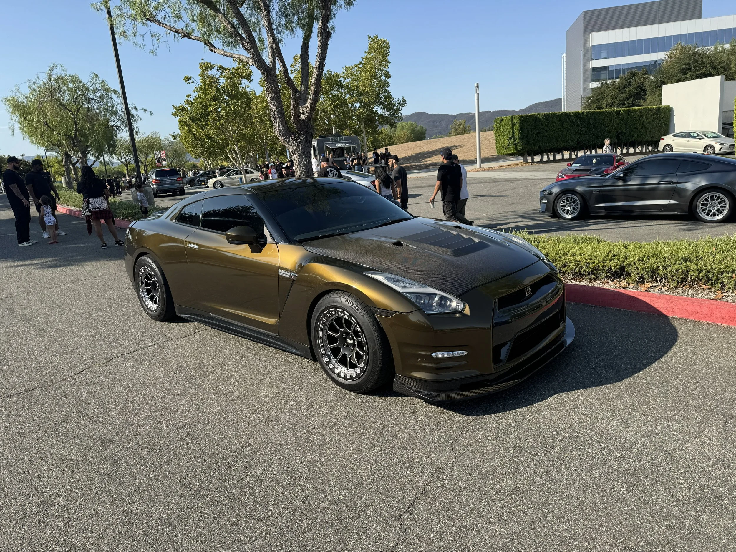 IMG_1463.jpeg