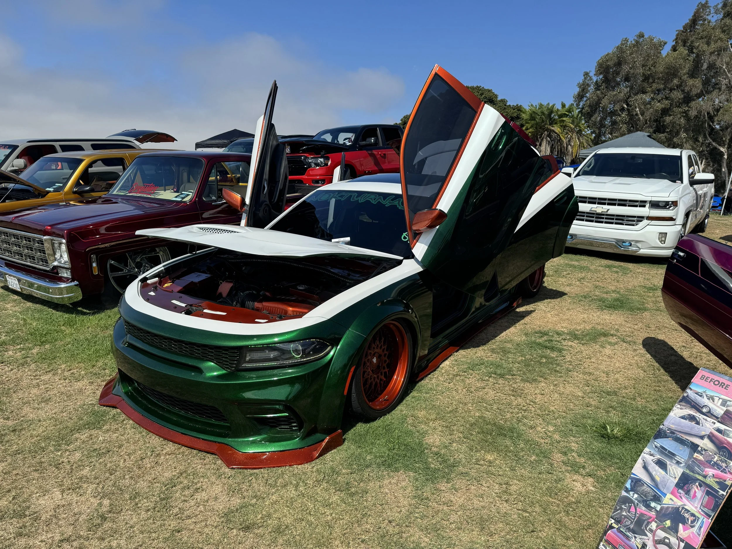 IMG_1982.jpeg