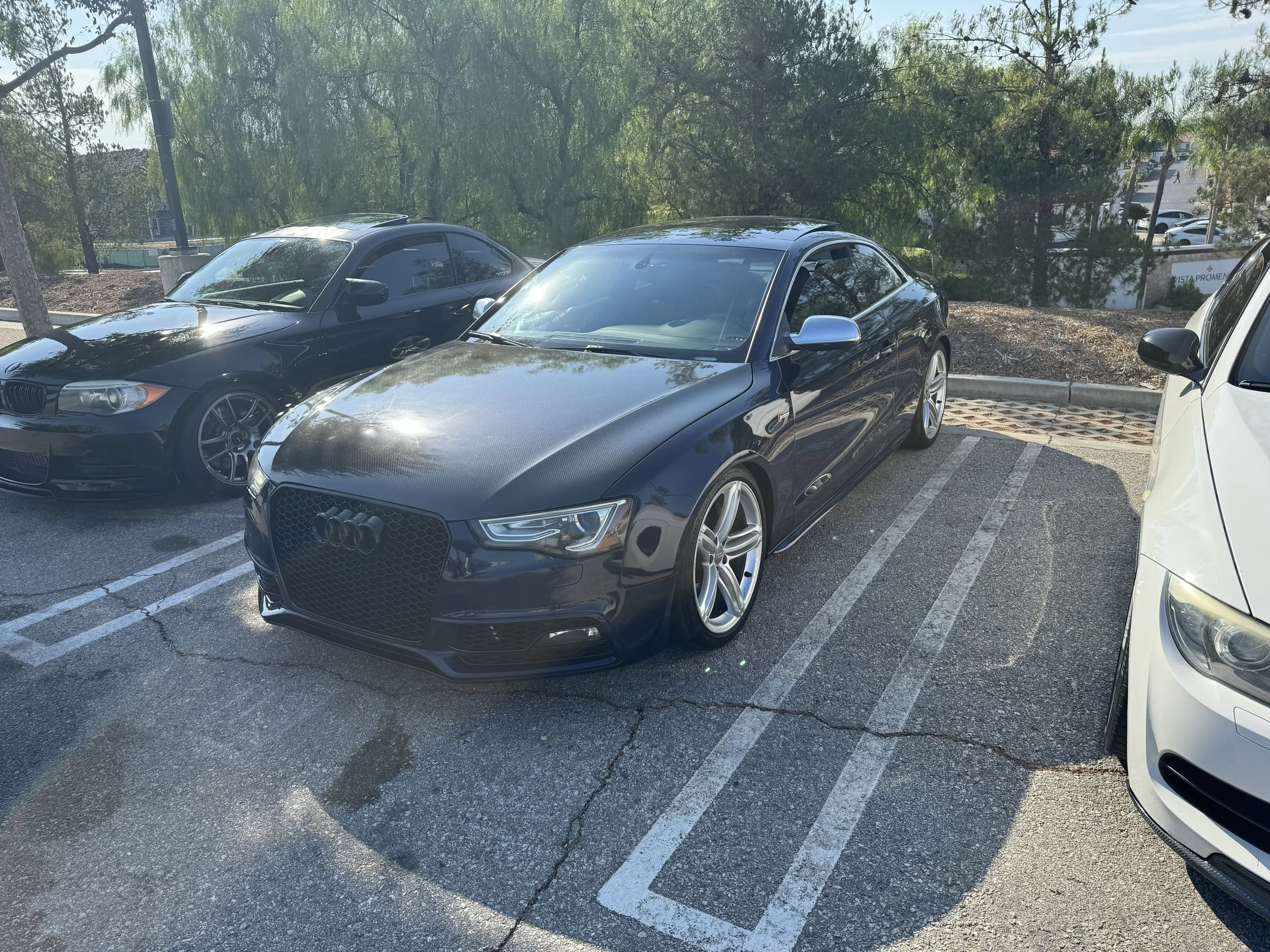 IMG_1491.jpeg