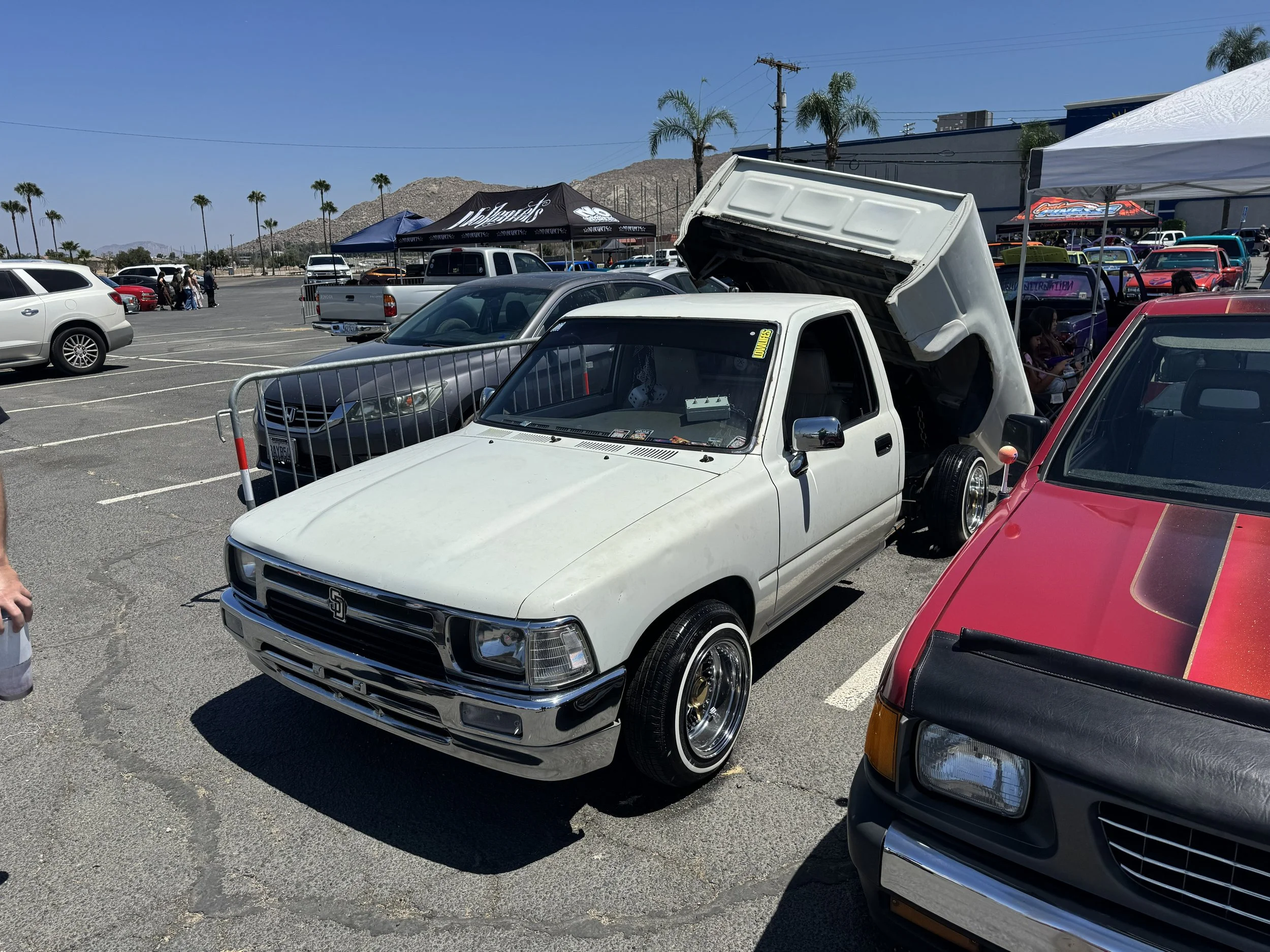 IMG_9583.jpg