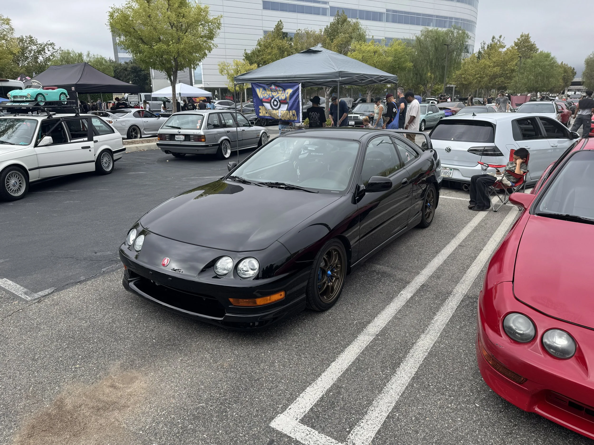 IMG_2602.jpg