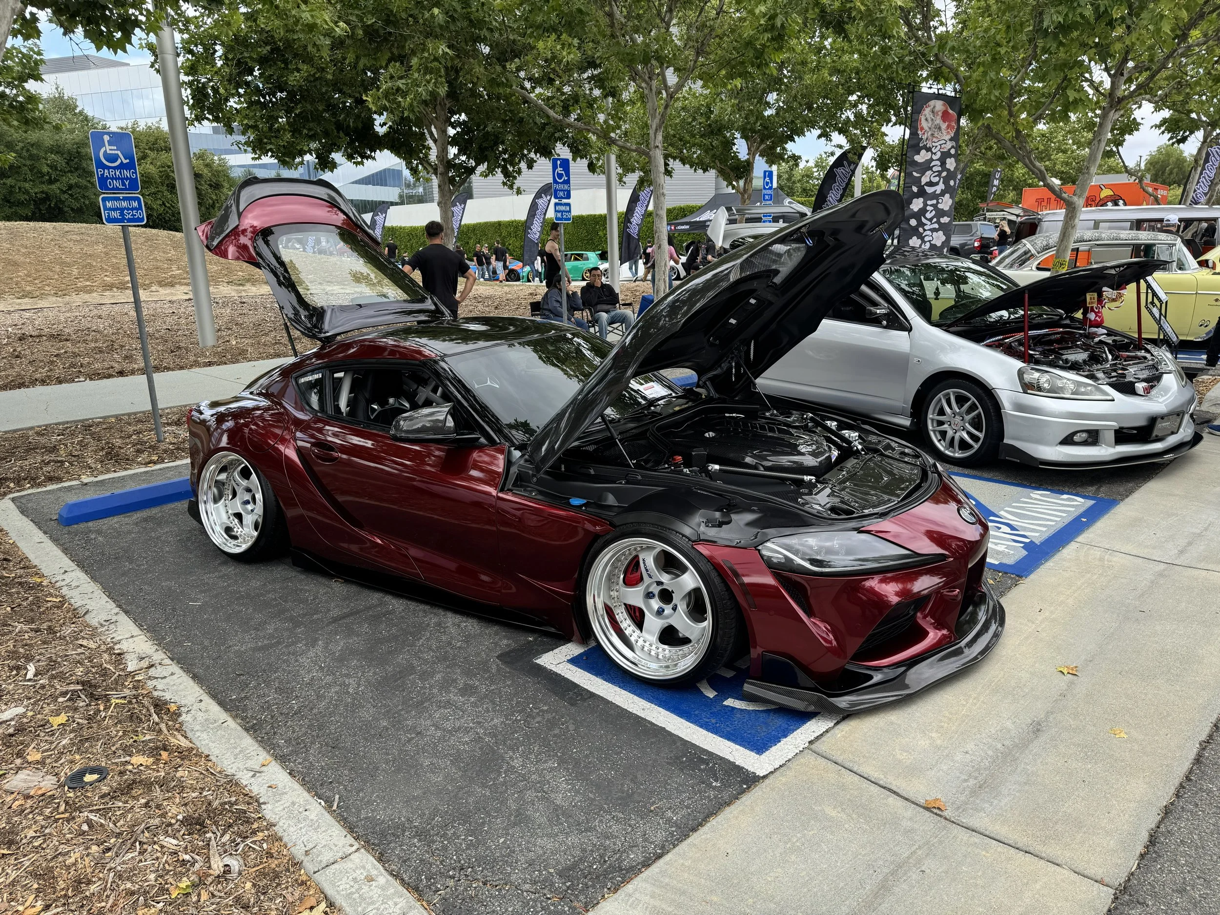 IMG_6175.jpeg