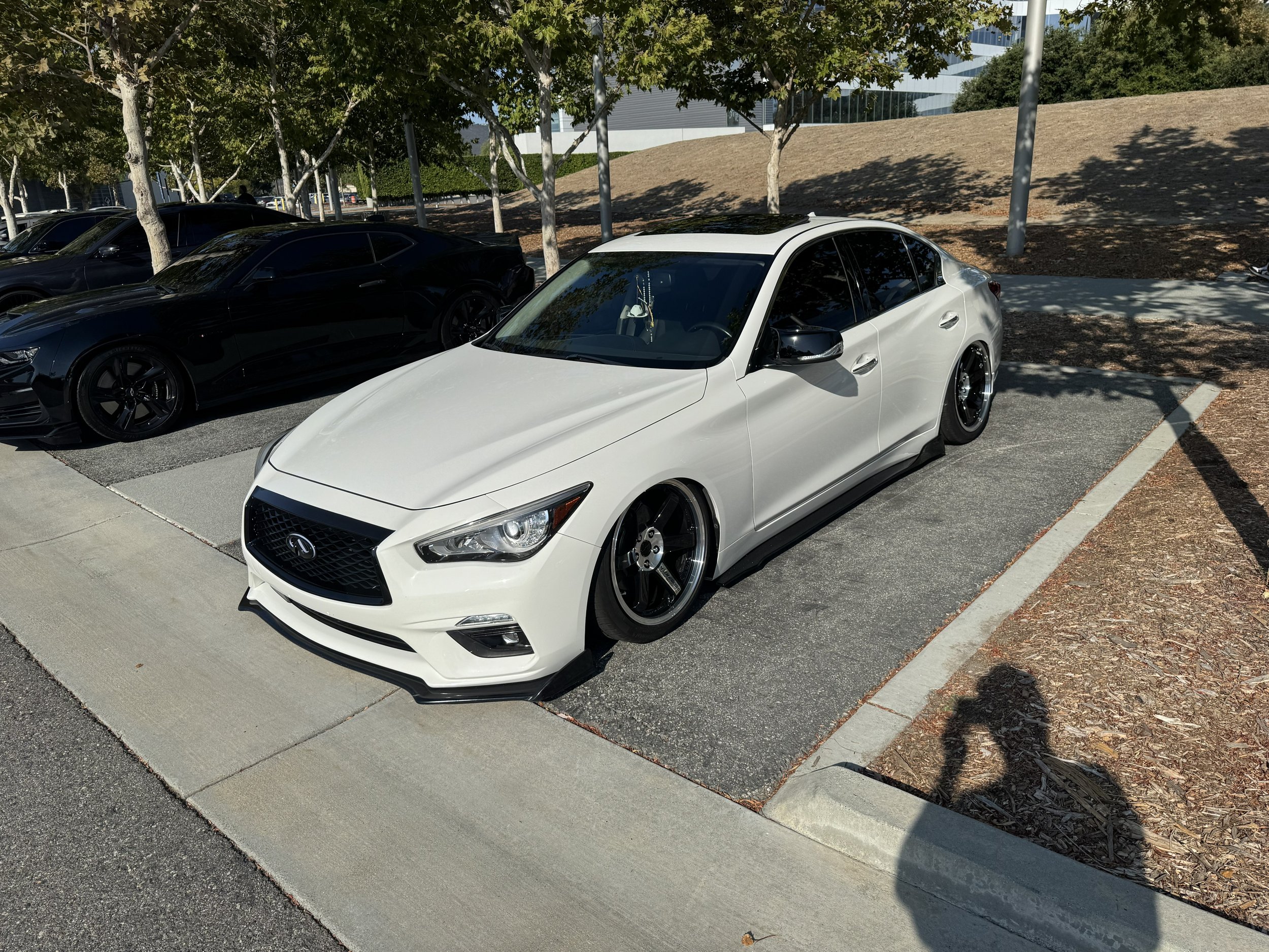 IMG_1464.jpeg