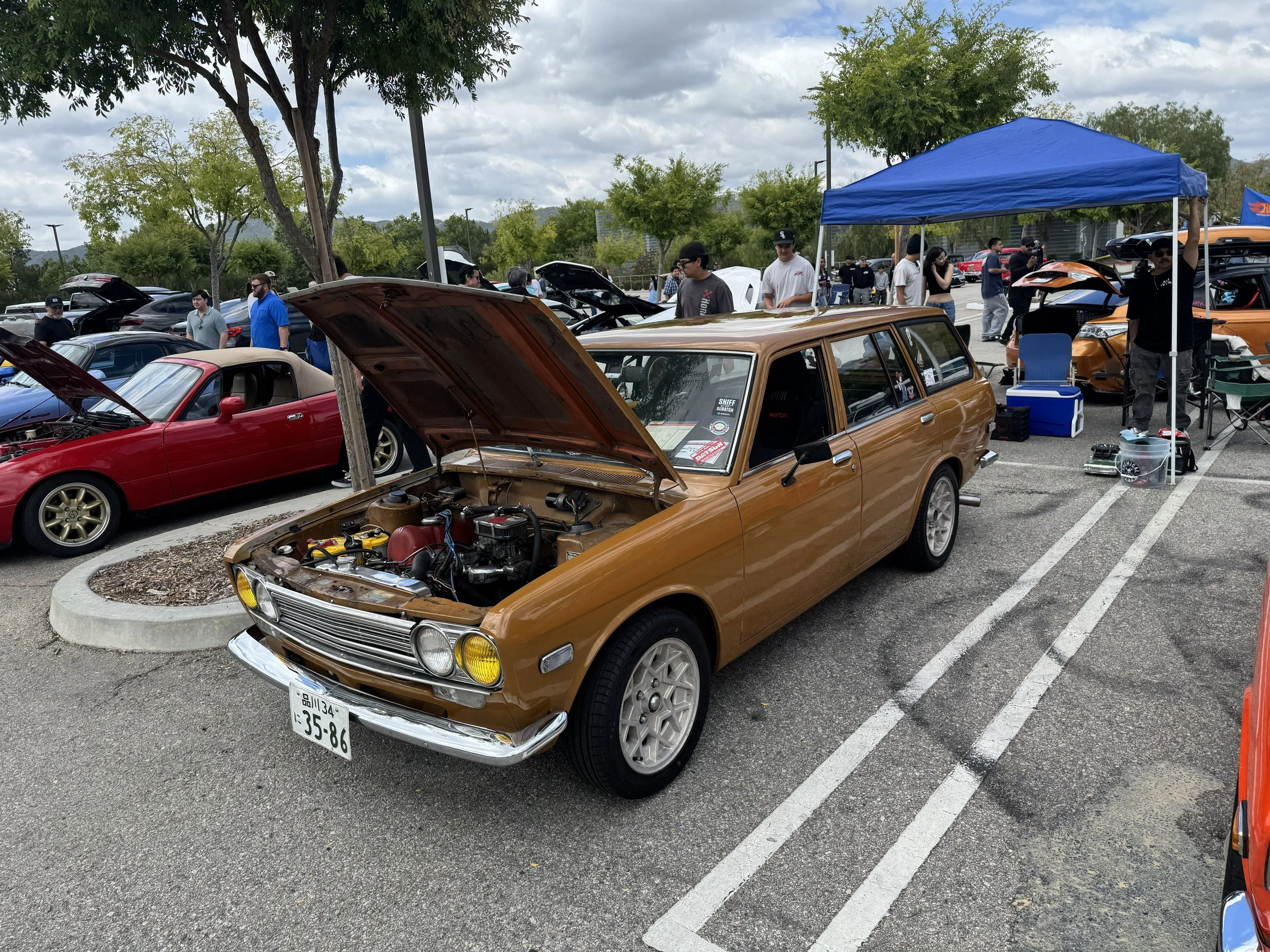 IMG_6217.jpeg