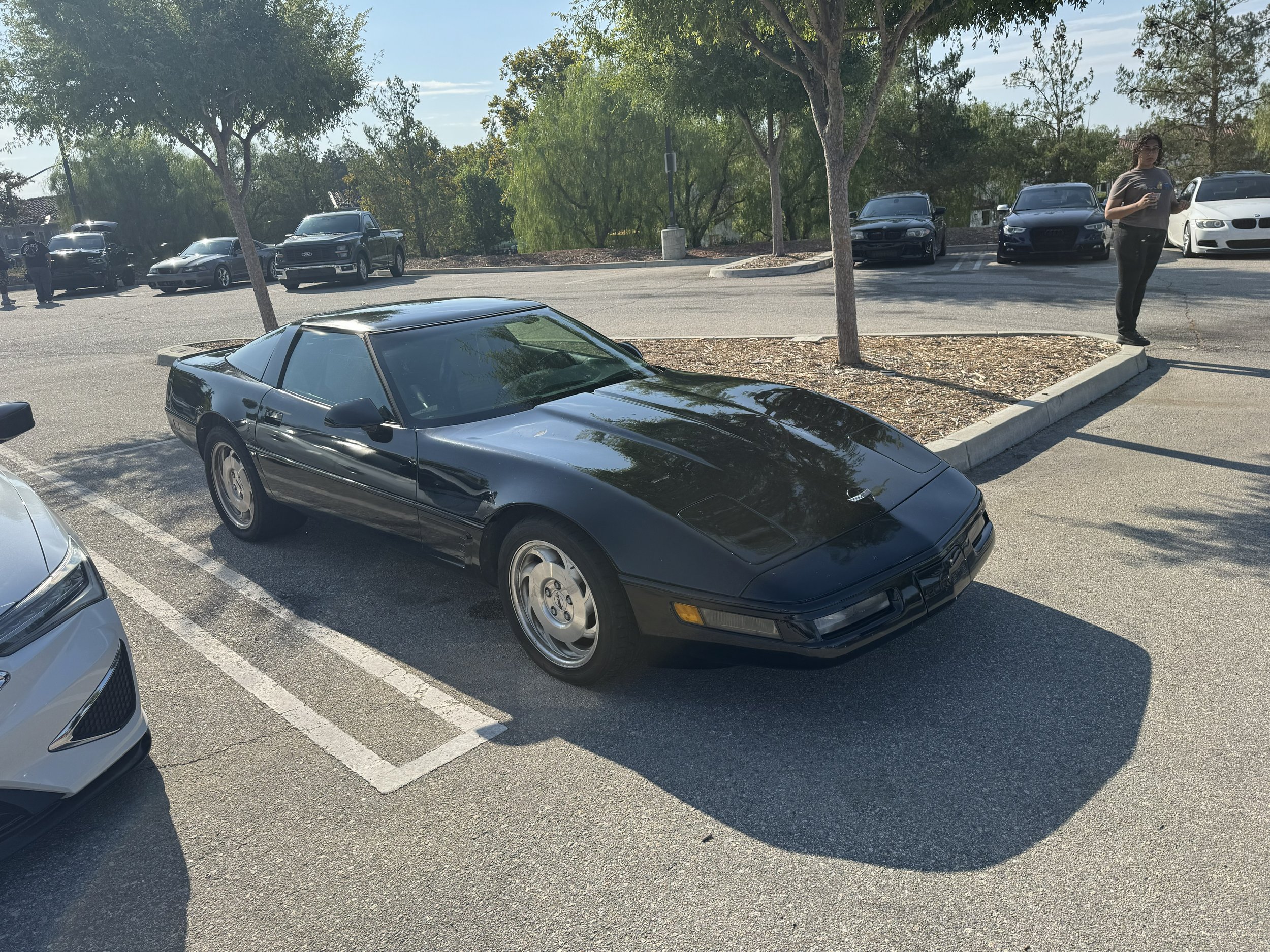 IMG_1486.jpeg