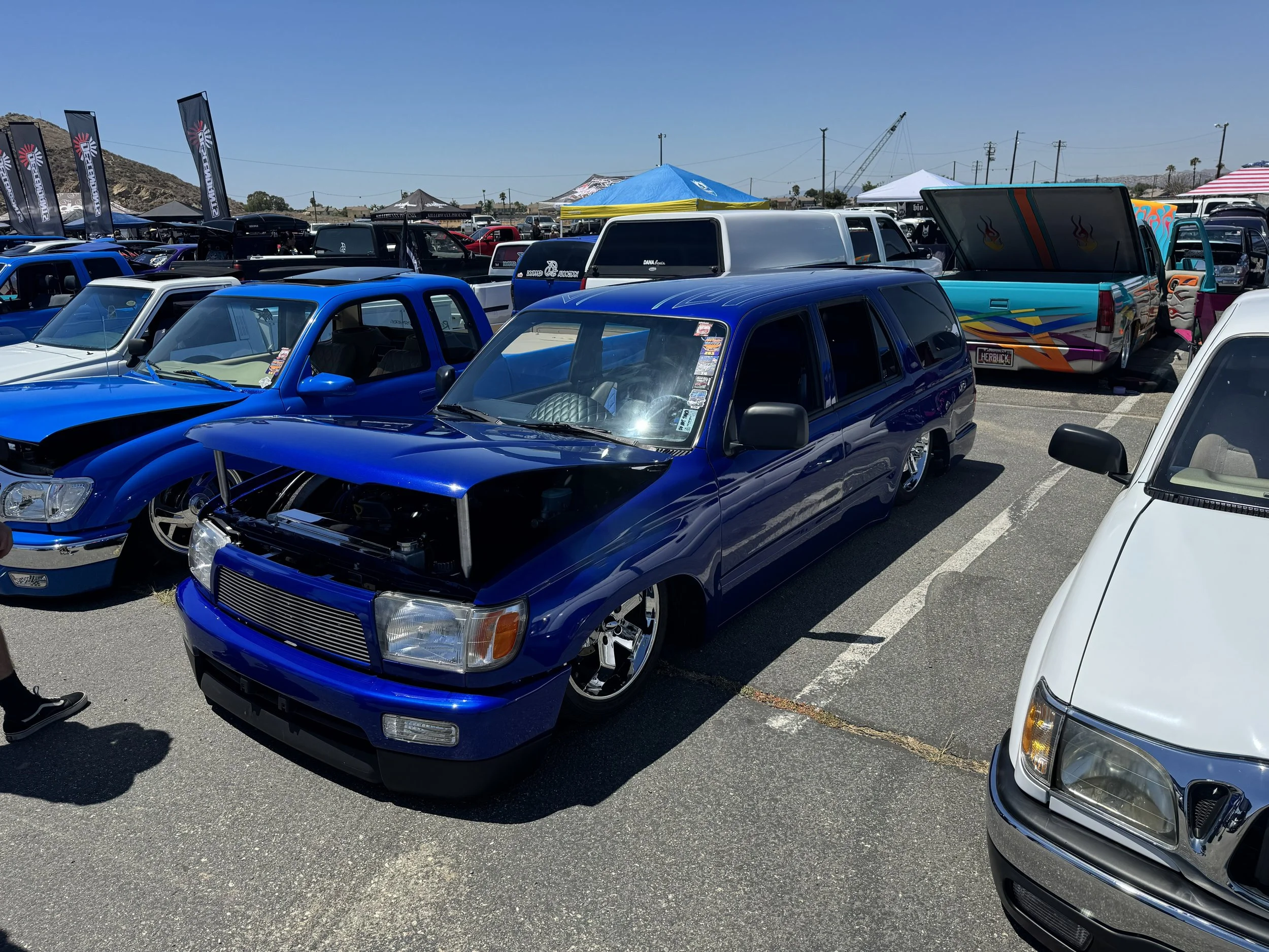 IMG_9588.jpg
