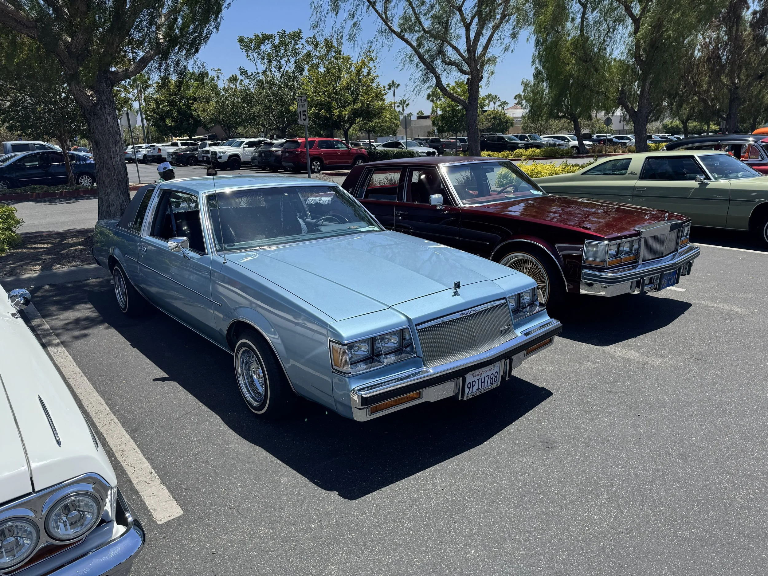 IMG_1075.jpeg