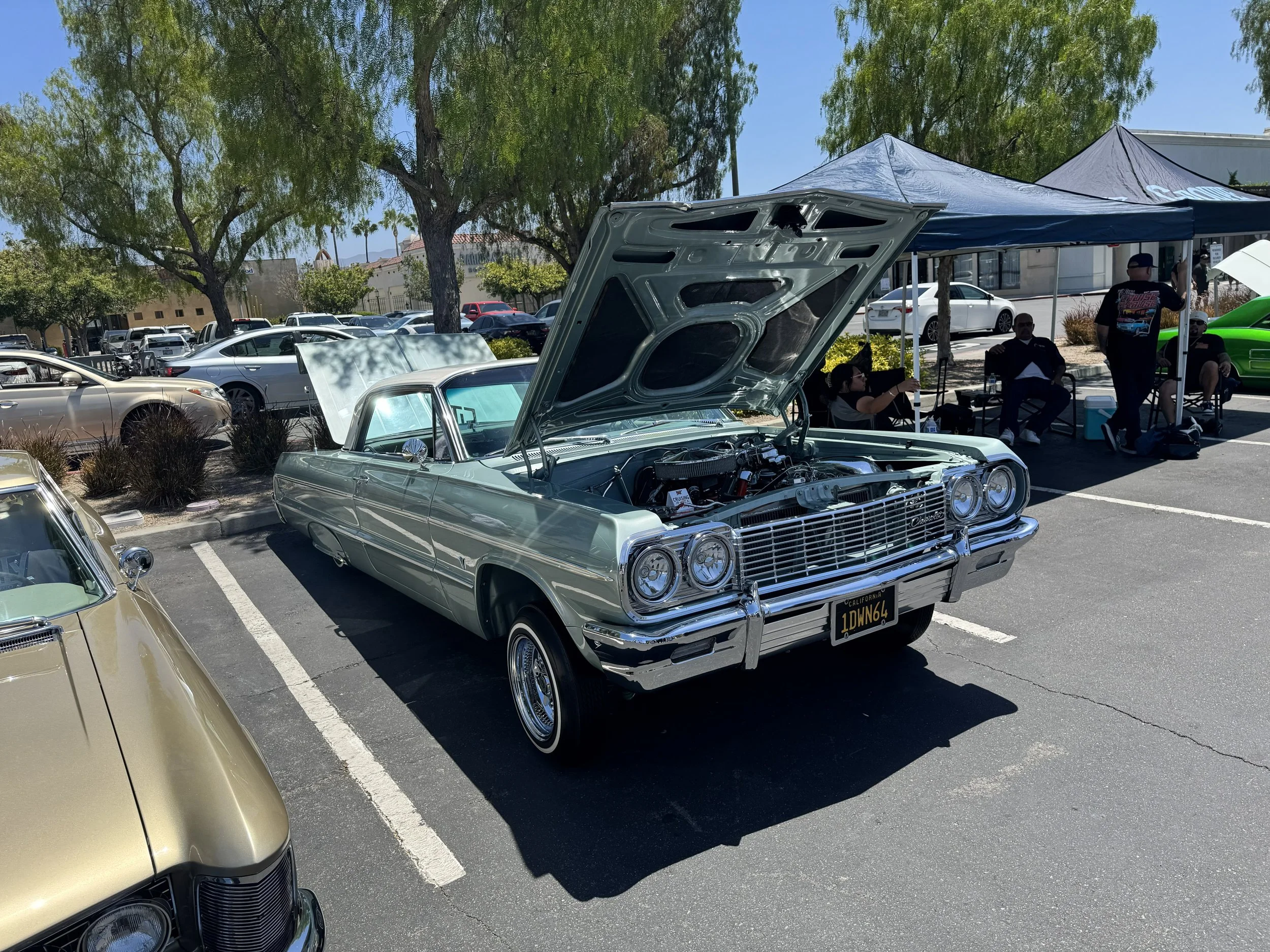 IMG_1116.jpeg