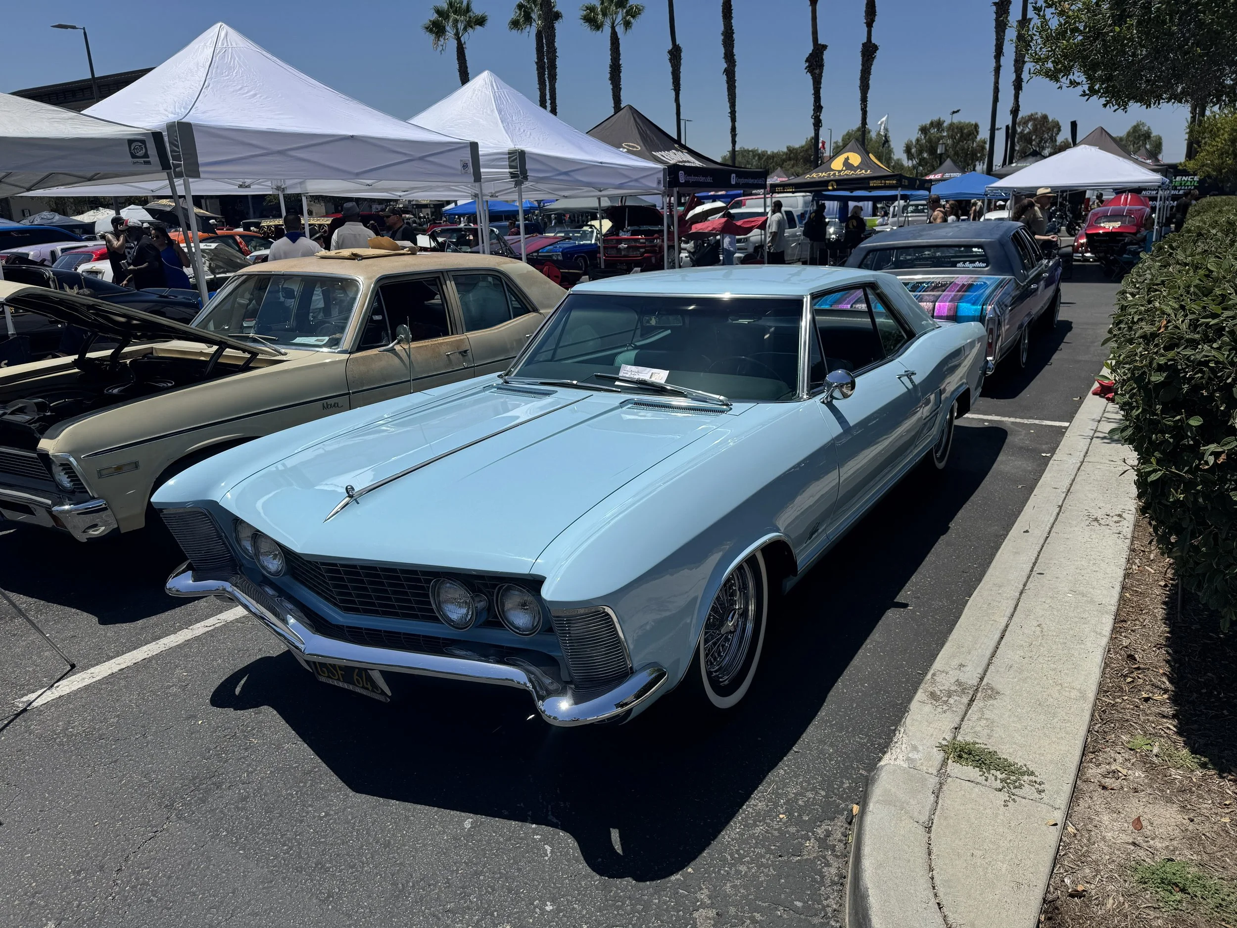 IMG_1105.jpeg