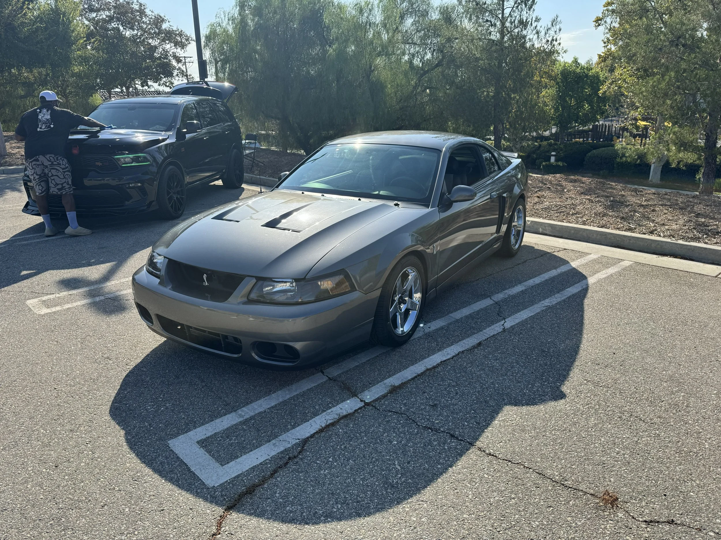 IMG_1494.jpeg