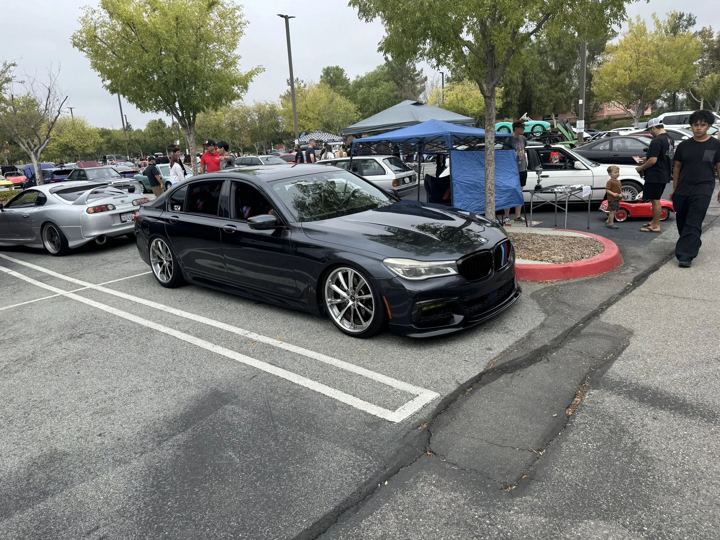 IMG_2595.jpg