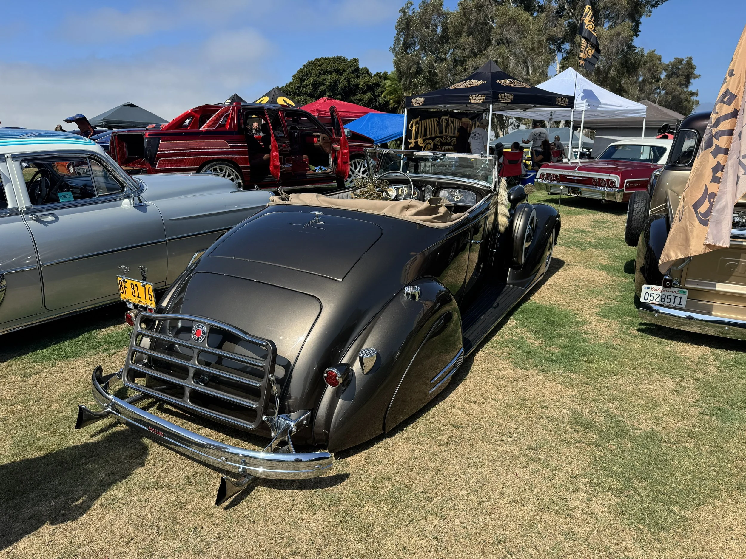IMG_2018.jpeg